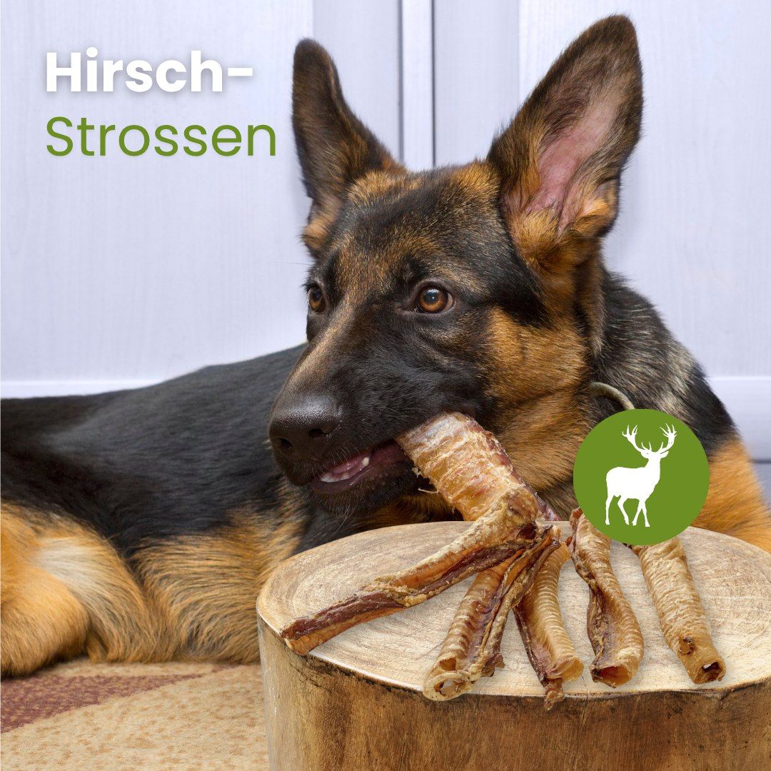 Hühner-Burger, 8-11 cm lang, 25-35 g schwer, harte Beschaffenheit.