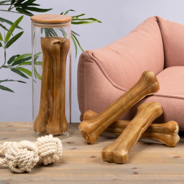 Kauknochen, ein Glasbehälter und ein Seilspielzeug. Im Hintergrund ein rosa Sofa.