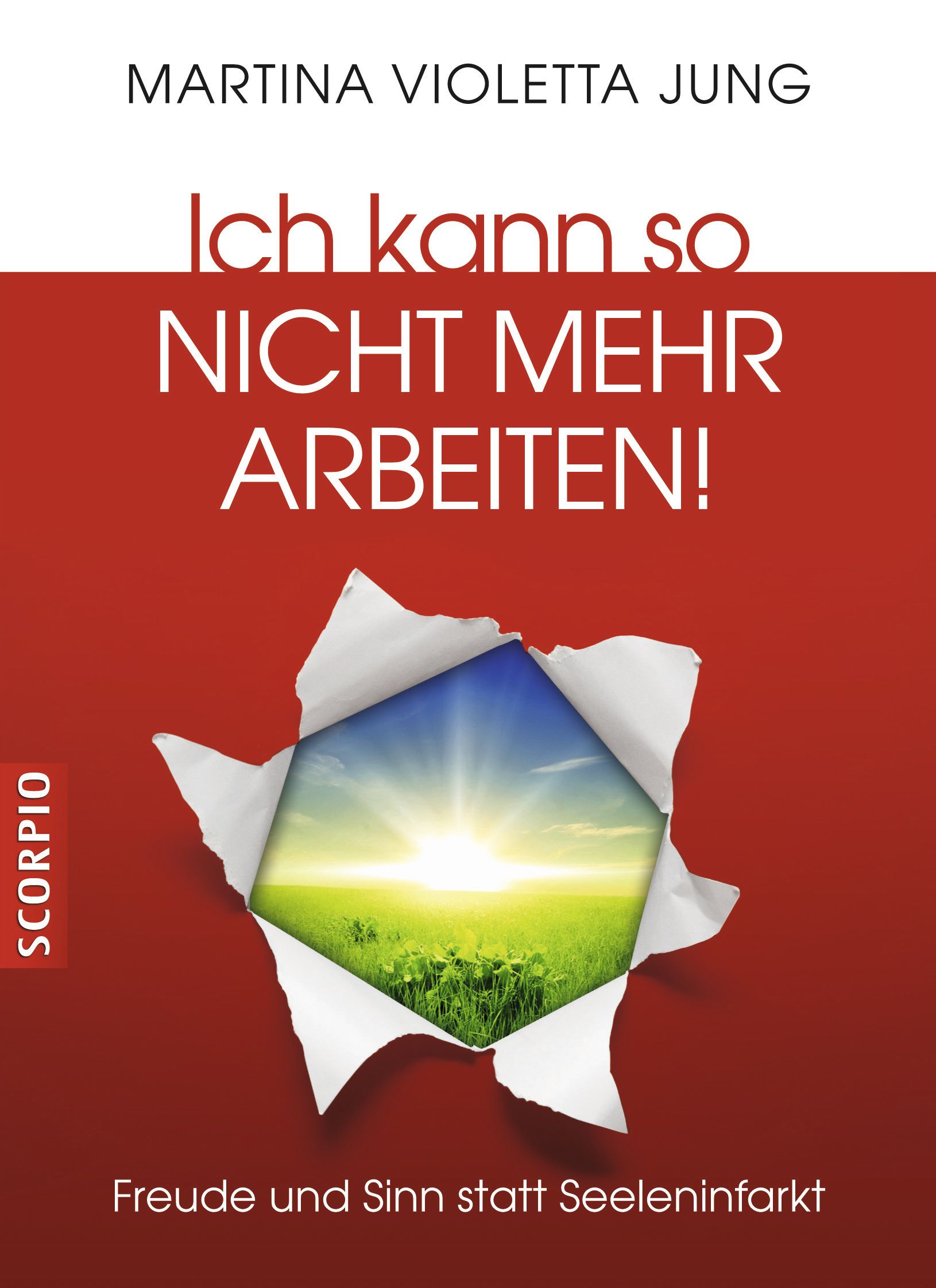 Buchcover mit Titel: Ich kann so nicht mehr arbeiten! Autorin: Martina Violetta Jung. Verlag: Scorpio. Motiv: Riss mit Landschaft.