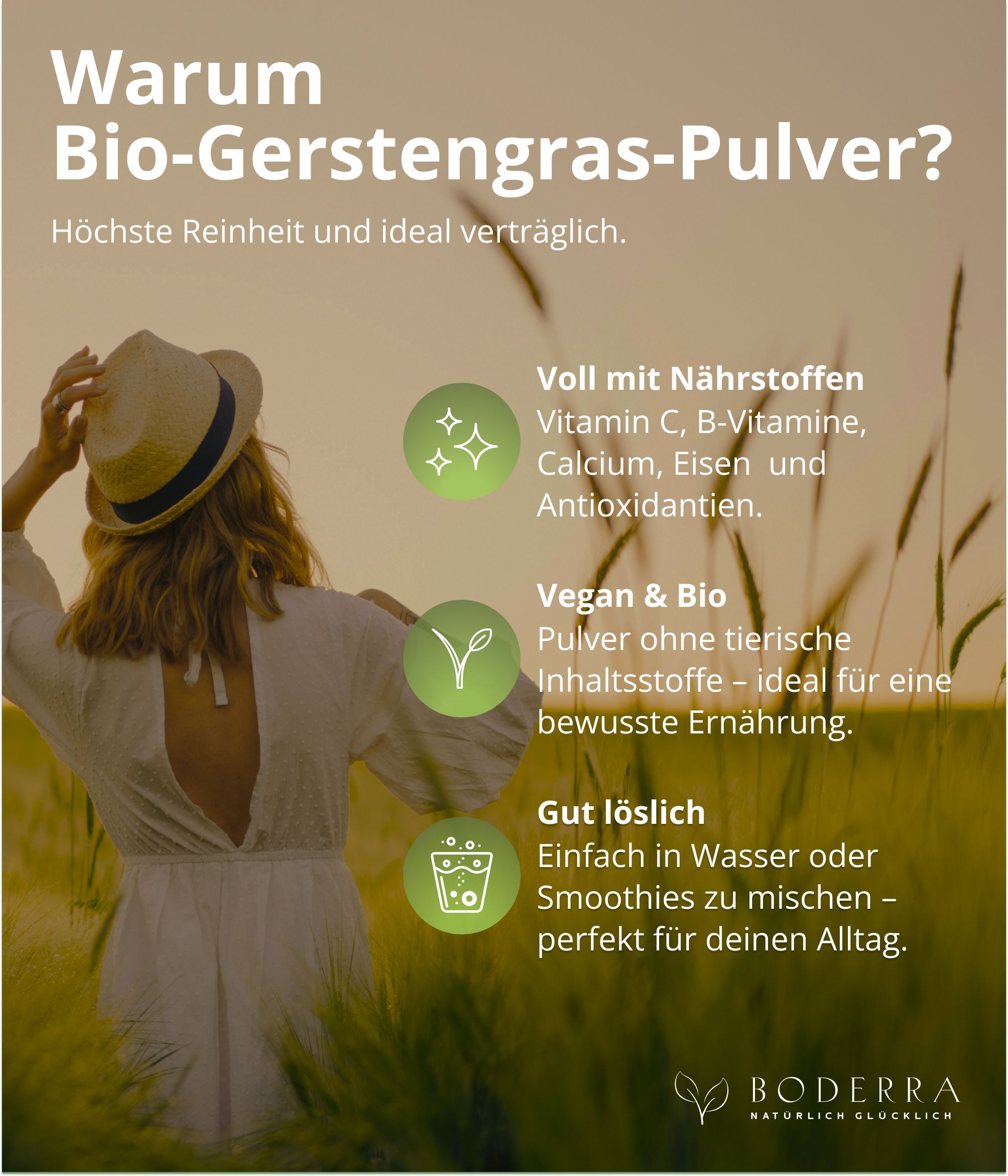 Boderra BIO Gerstengras Pulver aus Deutschland - 60 Tage Vorrat