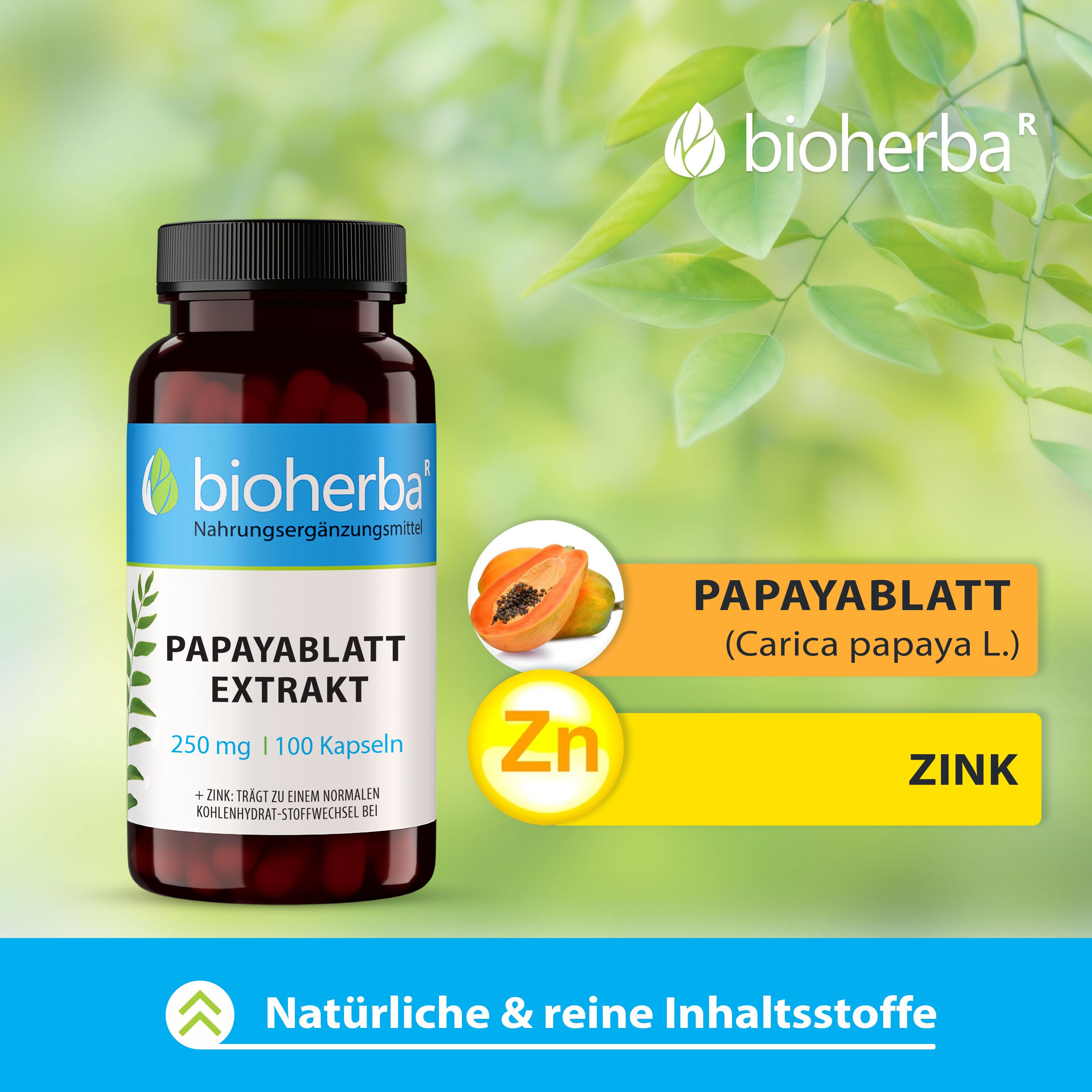 Bioherba Papayablatt Extrakt Kapseln