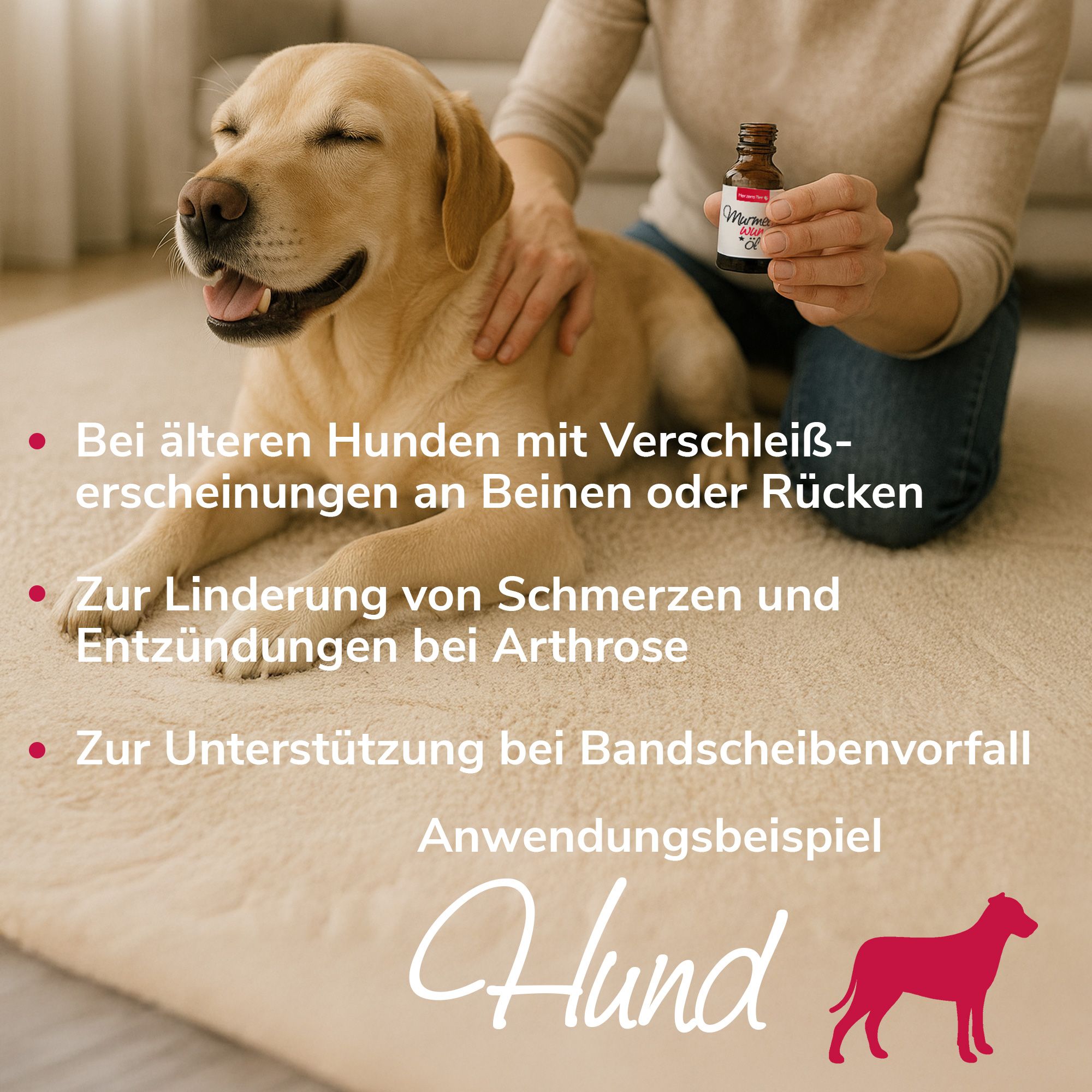 HerzensTier Murmelwunderöl für Hunde, Katzen & Pferde