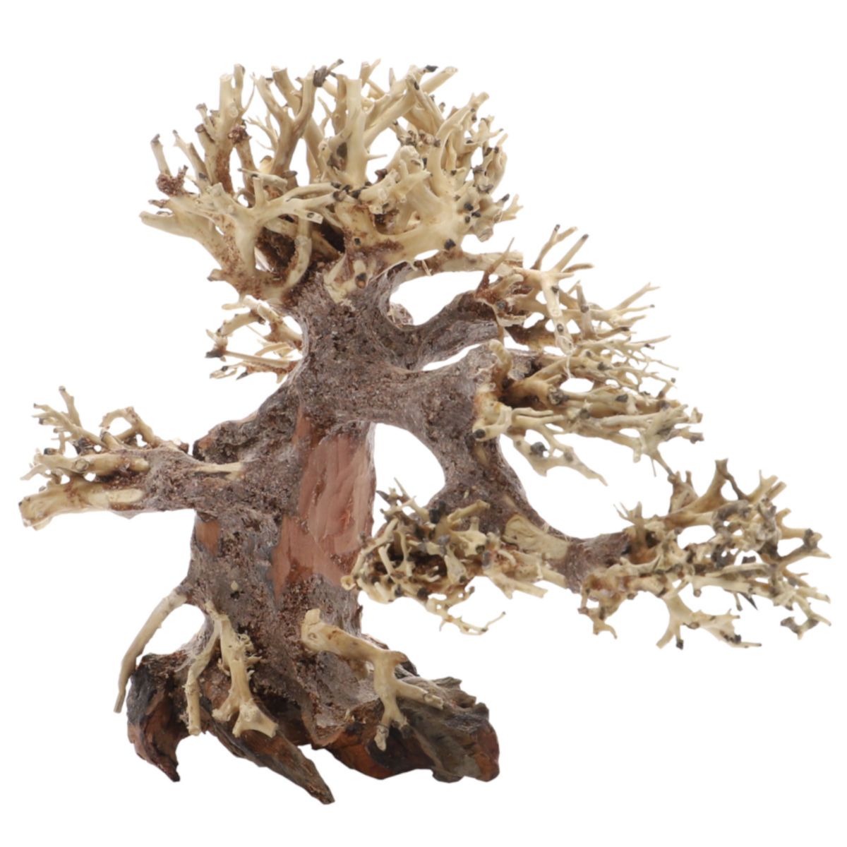 Dupla Bonsai - handgefertigte Dekoration für Aquarien