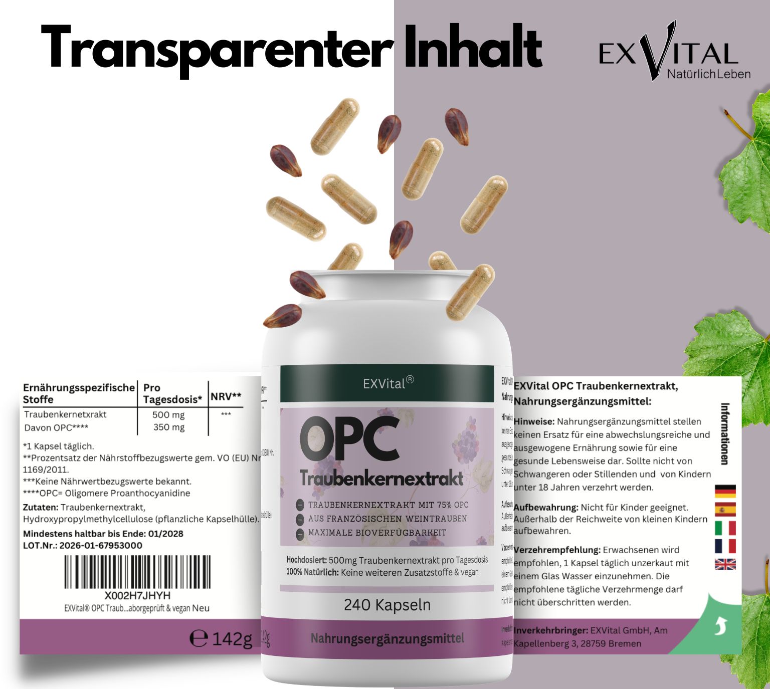 Flasche mit 240 Kapseln EX VITAL OPC Traubenkernextrakt. Enthält 500 mg Traubenkernextrakt pro Kapsel.