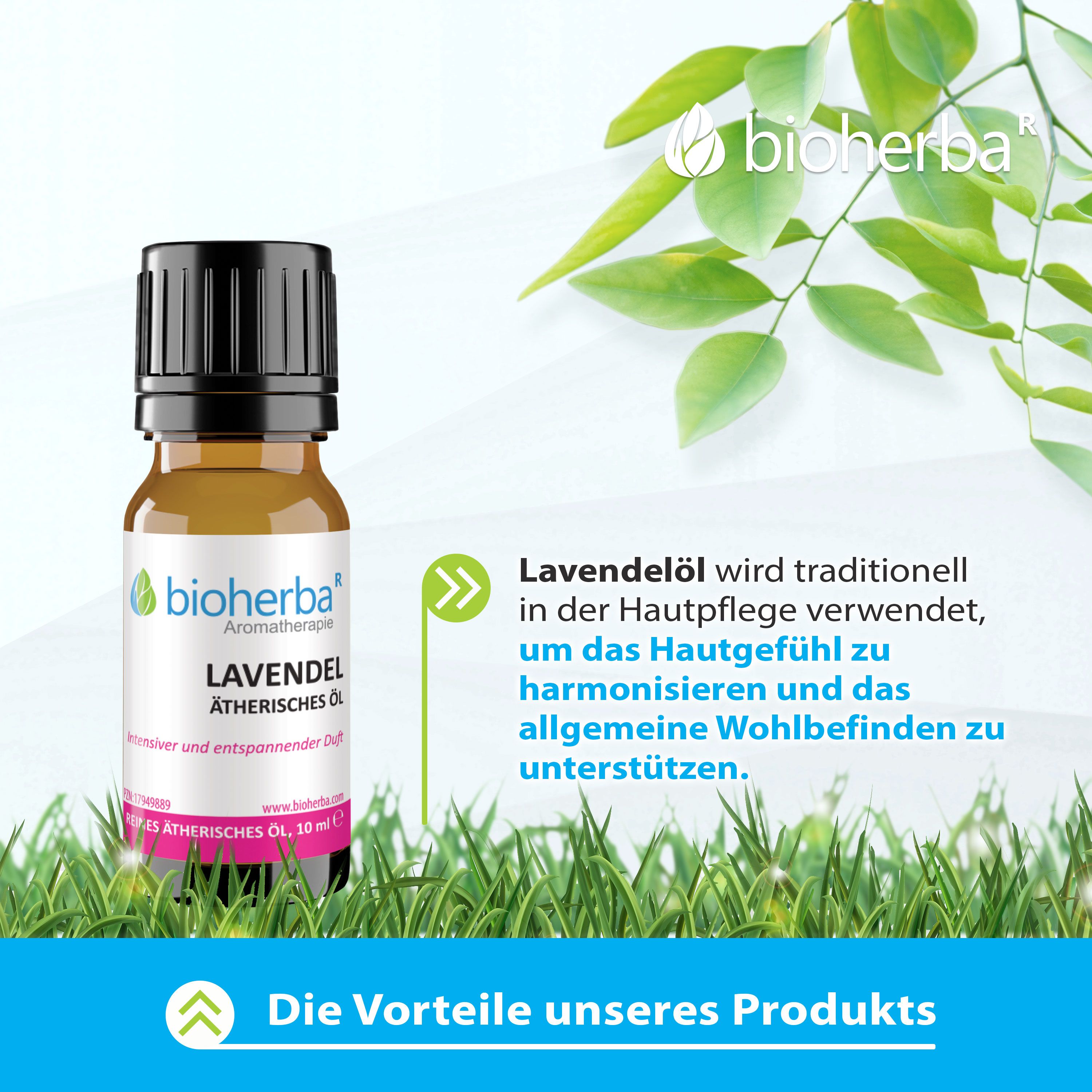 Braune Glasflasche mit schwarzem Deckel und Etikett. Text: Lavendel Ätherisches Öl. Hintergrund: grünes Gras und Blätter.