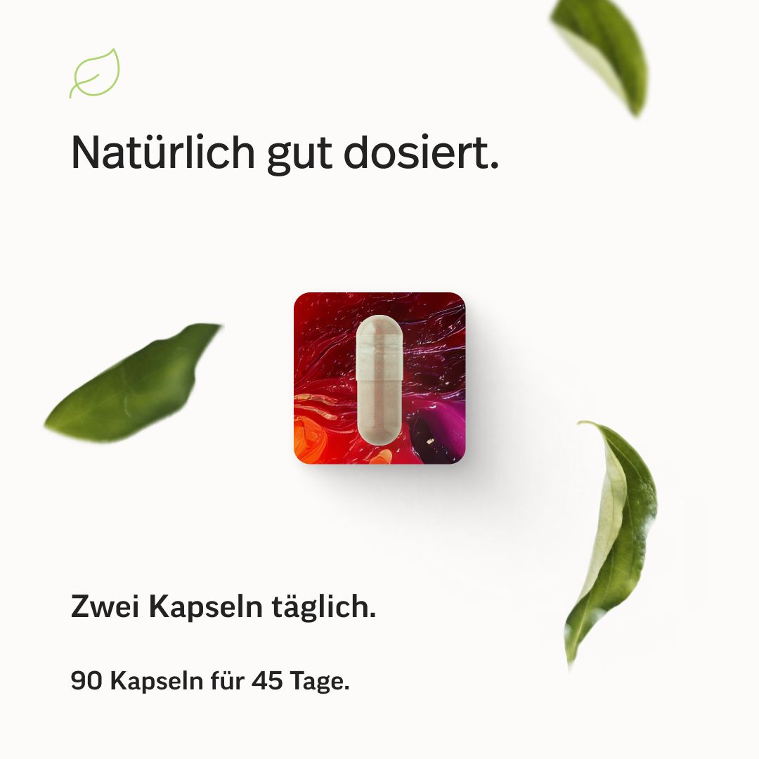 edubily® Eisen Kapseln mit Lactoferrin