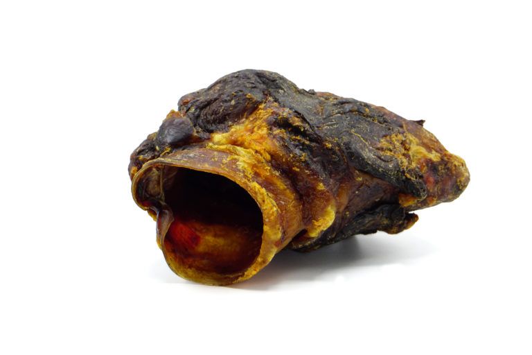 mascota vital - Pferde-Kehlkopf