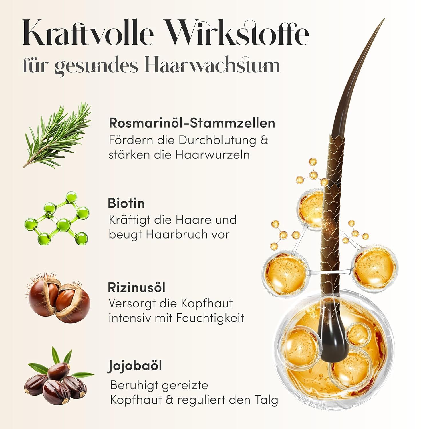 Grafik mit Inhaltsstoffen: Rosmarinöl, Biotin, Rizinusöl, Jojobaöl. Darstellung von Haarwurzeln und Öltropfen.