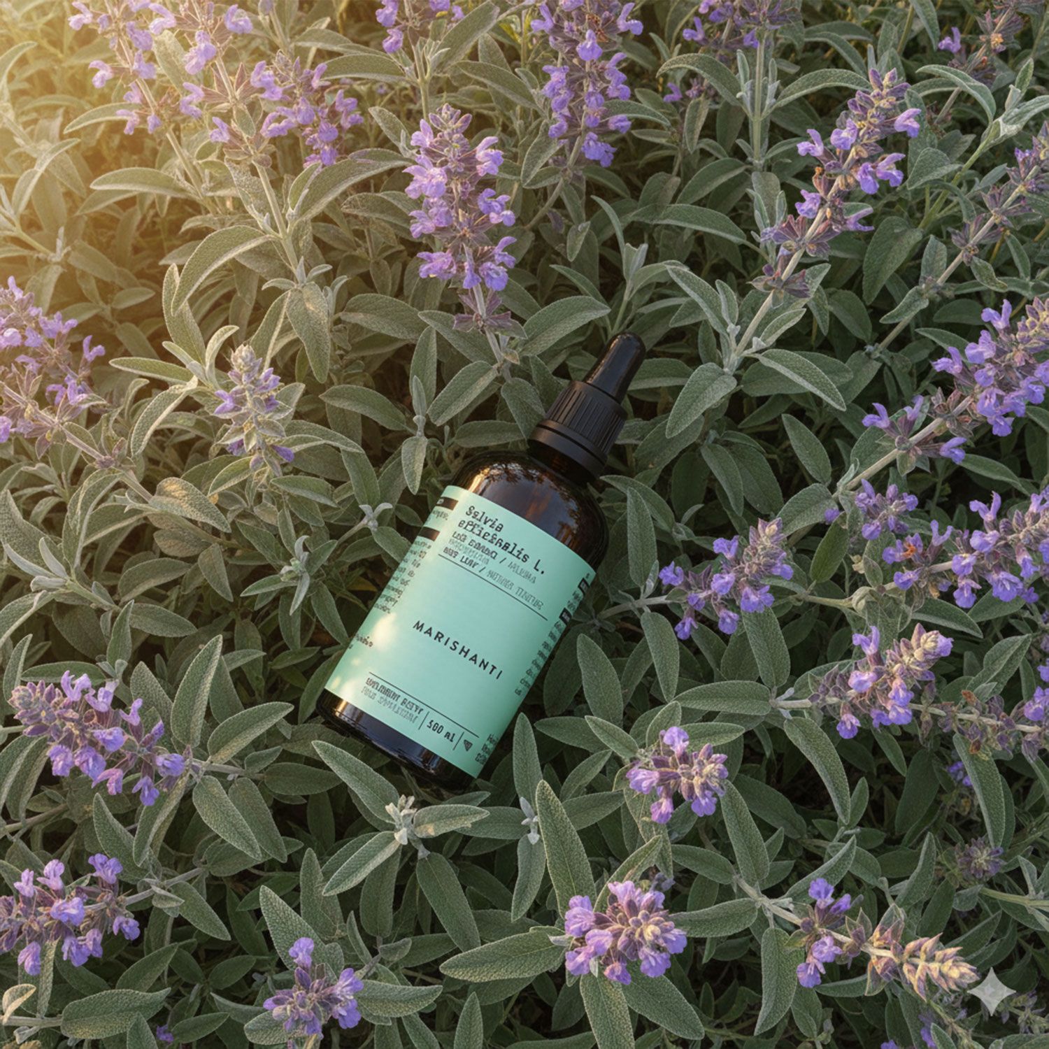 Braune Flasche mit Tropfer in Salbeipflanzen. Text: Marishanti, Salbei Extrakt. 100 ml.