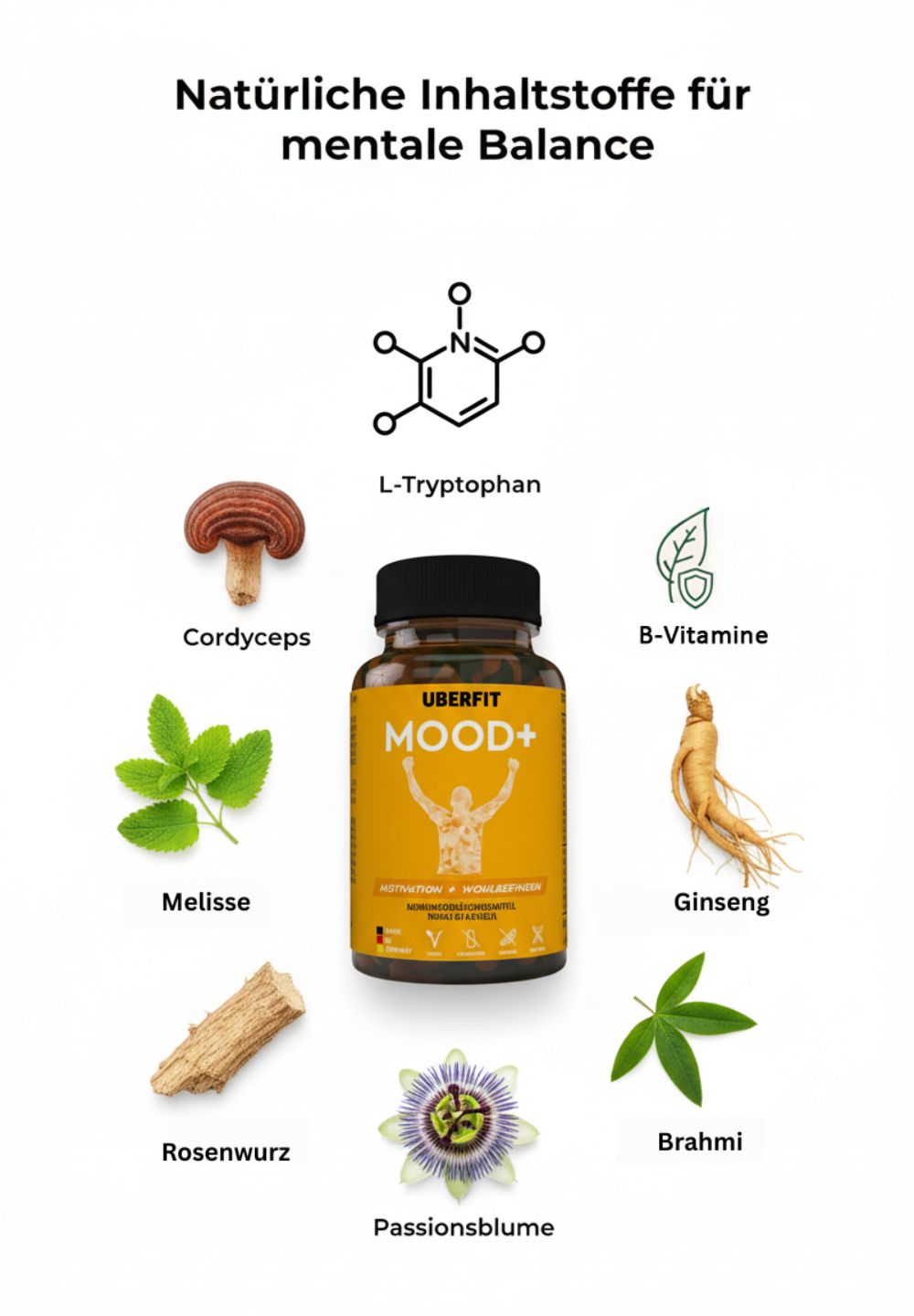 Braune Flasche mit gelbem Etikett. Auf dem Etikett steht "MOOD+". Um die Flasche herum sind Zutaten abgebildet: Cordyceps, Melisse, Rosenwurz, Passionsblume, Brahmi, Ginseng.