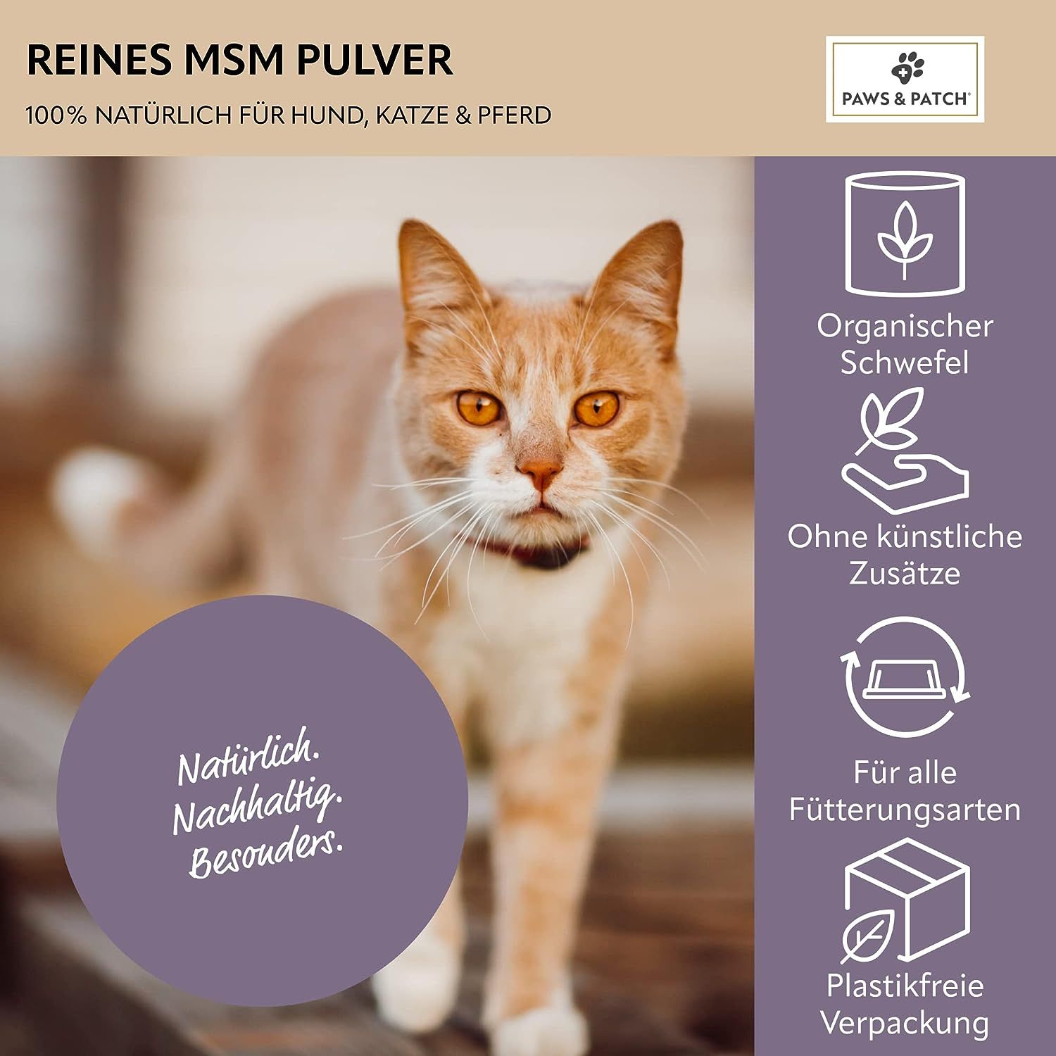 PAWS&PATCH MSM Pulver für Hunde, Katzen und Pferde