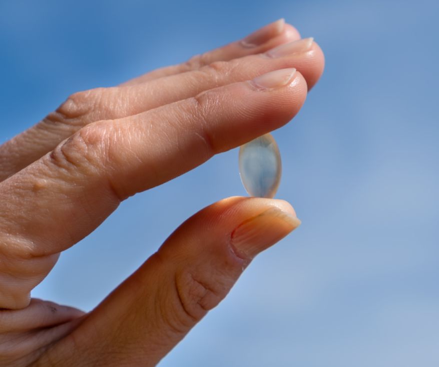 Hand hält eine einzelne Aavalabs Vegan Omega-3 Kapsel.