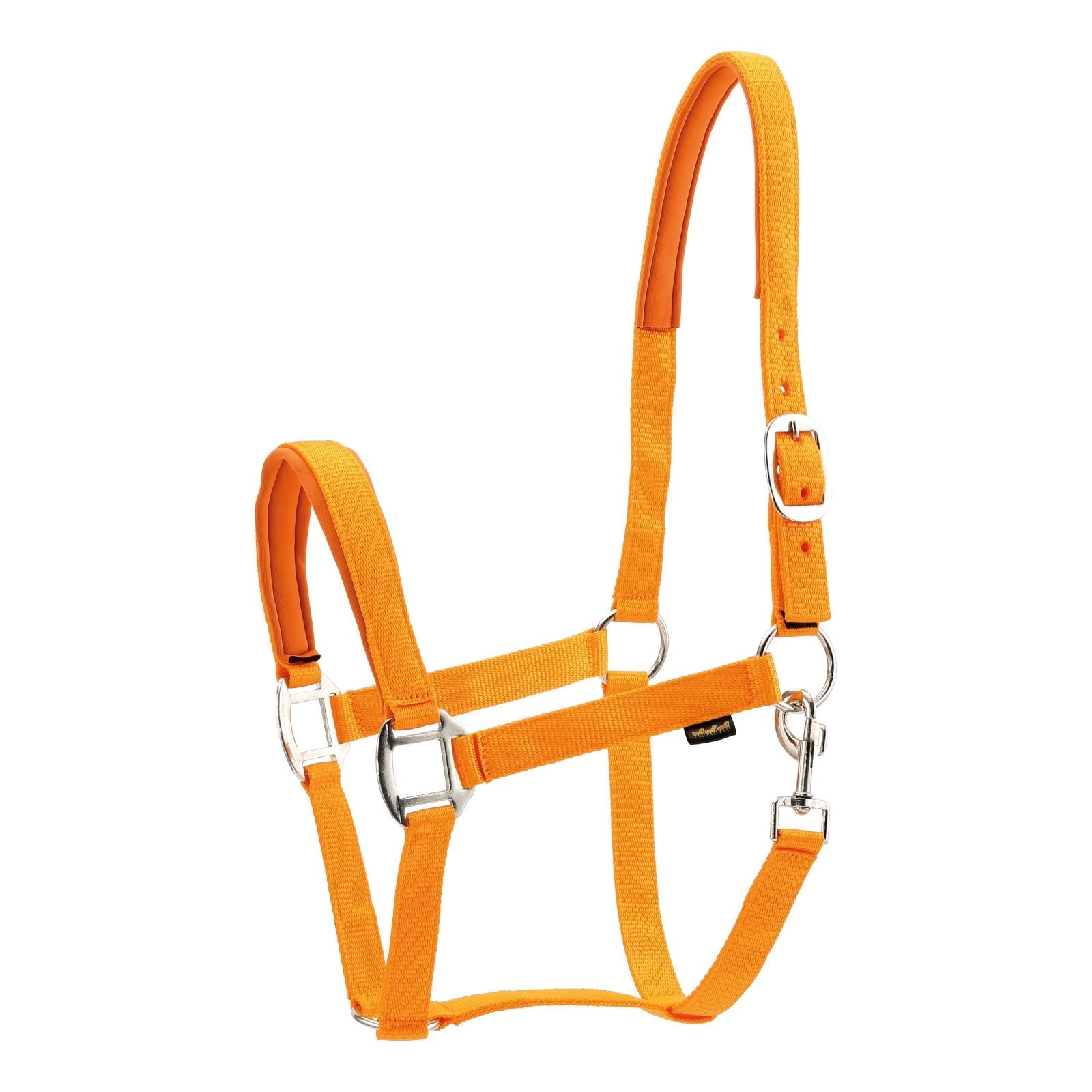 Orangenes Nylonhalfter für Pferde. Mit silberfarbenen Schnallen und Ringen. Gepolsterter Nasen- und Genickriemen. Karabinerhaken.