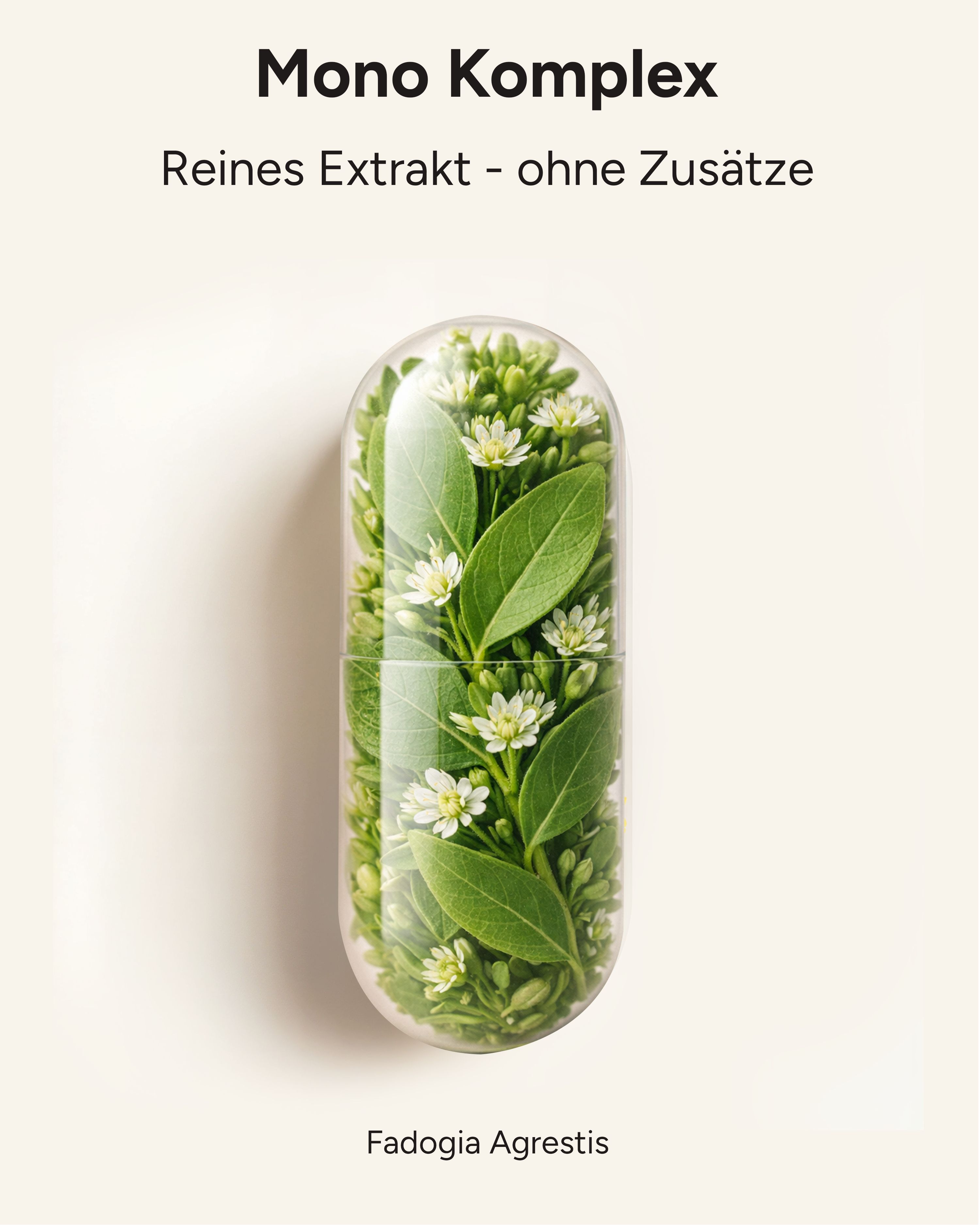 plantomol® Fadogia Agrestis Extrakt Kapseln ohne Zusätze - 20.000mg Fadogia pro Tag (2 Kapseln)