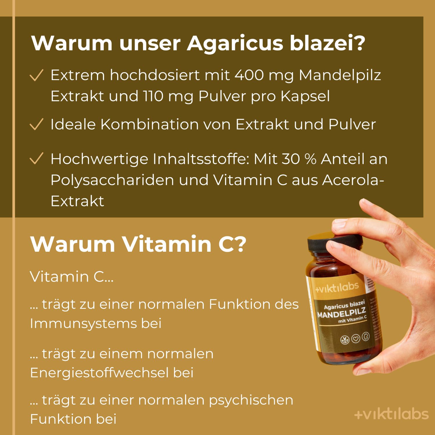 Viktilabs Premium Mandelpilz: Vitalpilz mit Vitamin C