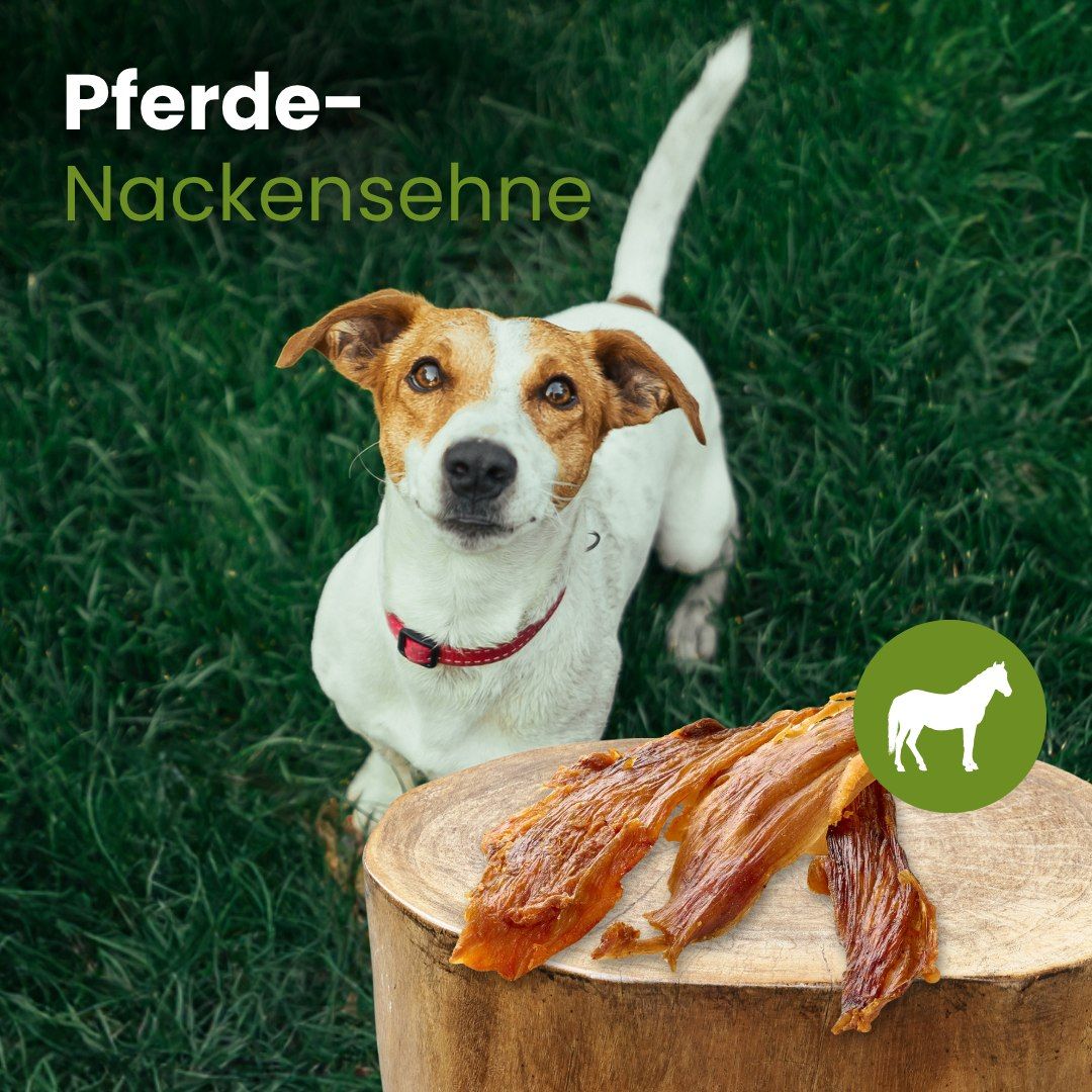 Getrocknete Rinderkopfhaut-Streifen, auf weißem Hintergrund.
