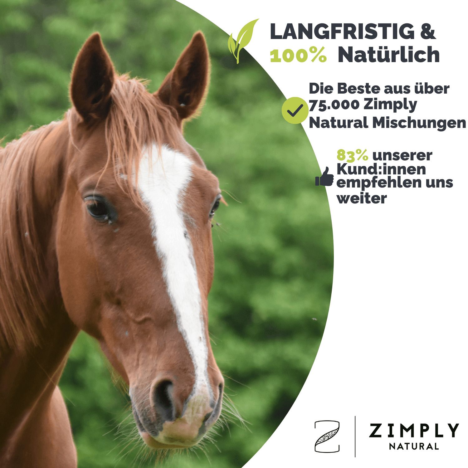 ZIMPLY NATURAL Sommerekzem Komplex Spray für Pferde