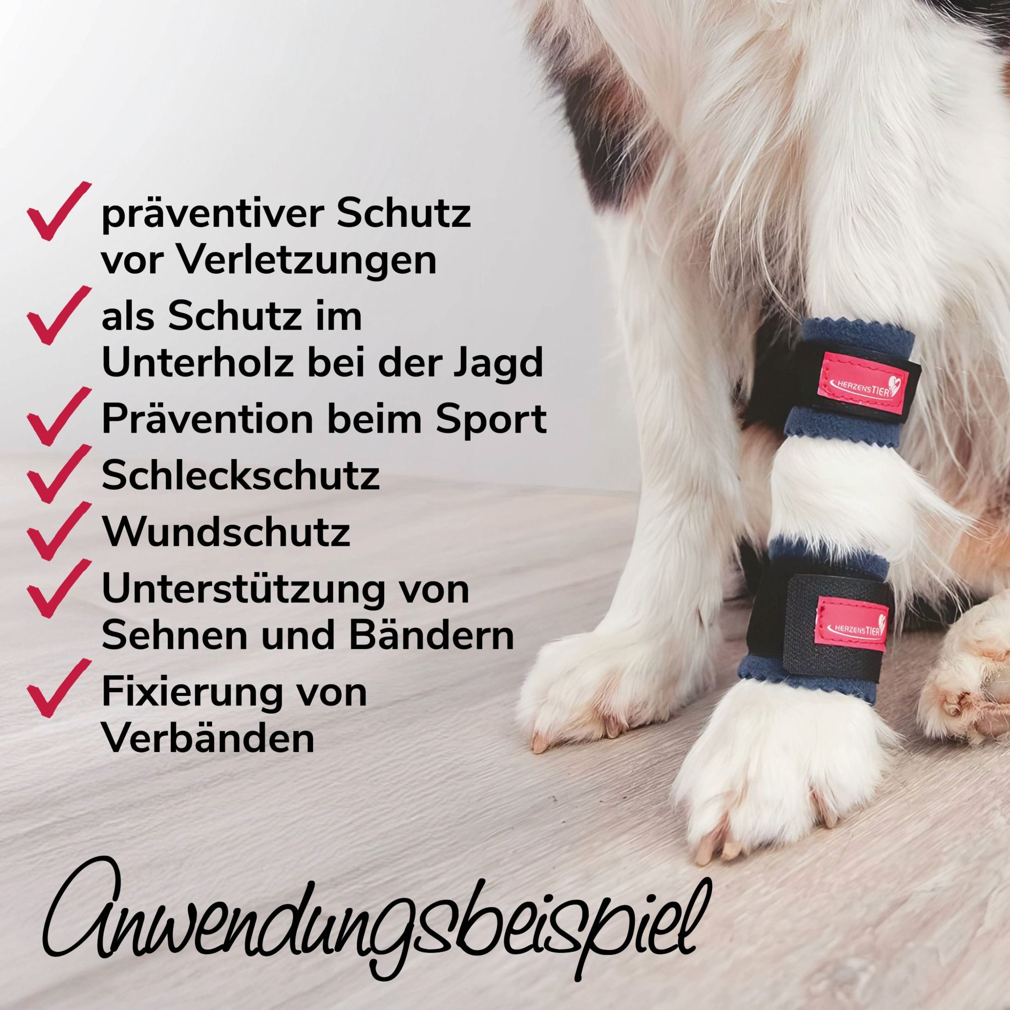 Hund mit Bandagen an den Vorderläufen. Text: Präventiver Schutz, Schutz im Unterholz, Prävention beim Sport, Wundschutz, Fixierung von Verbänden.