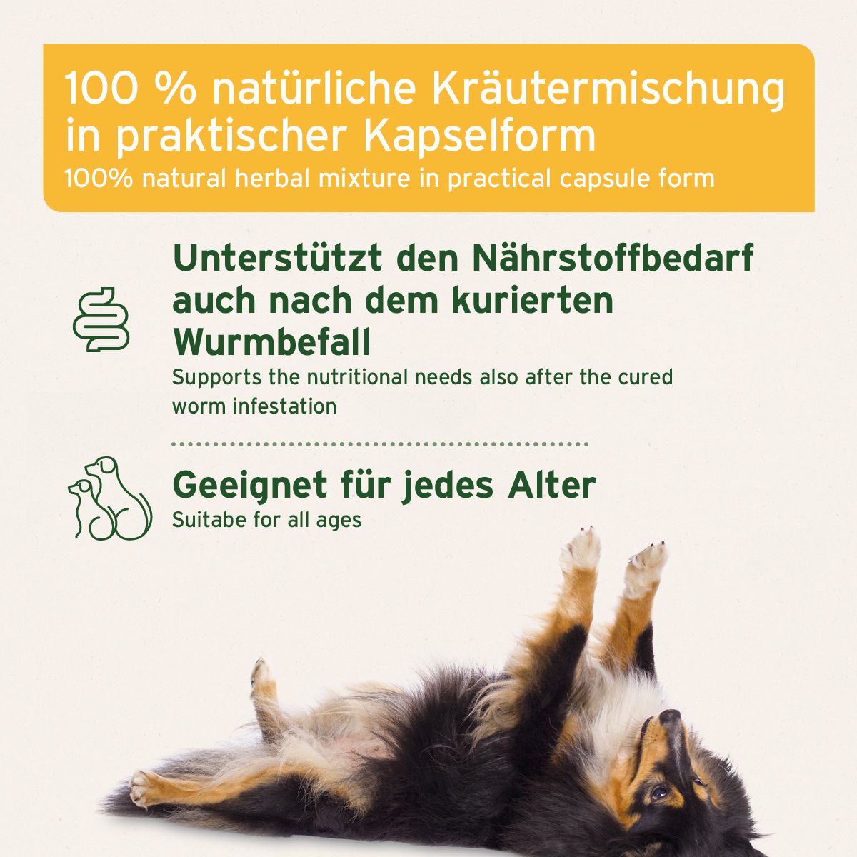 Text auf gelbem Hintergrund: 100% natürliche Kräutermischung. Hund liegt auf dem Rücken.