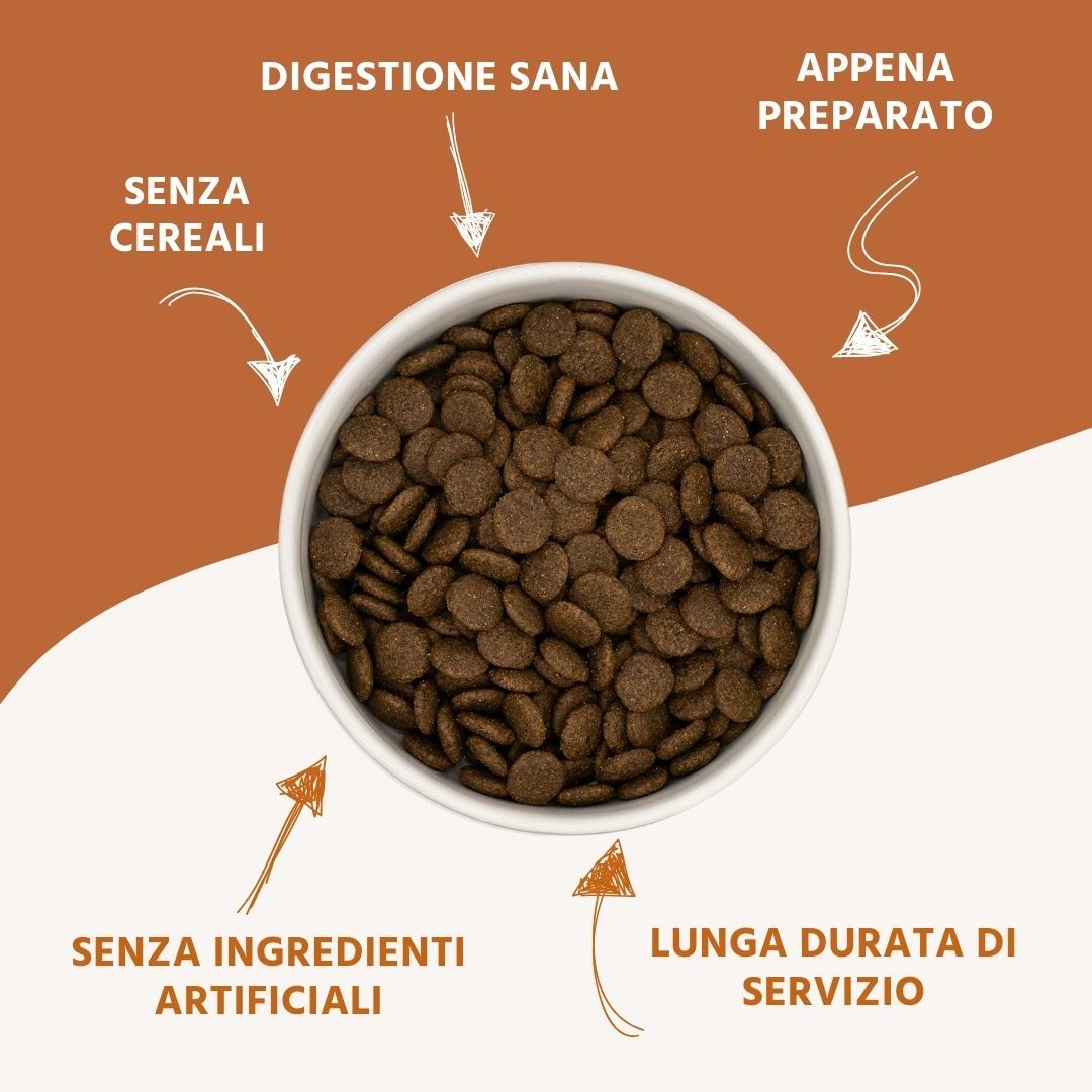 Draufsicht auf eine Schüssel mit Trockenfutter. Pfeile zeigen auf: Ohne Getreide, gesunde Verdauung, frisch zubereitet, ohne künstliche Zutaten, lange Haltbarkeit.