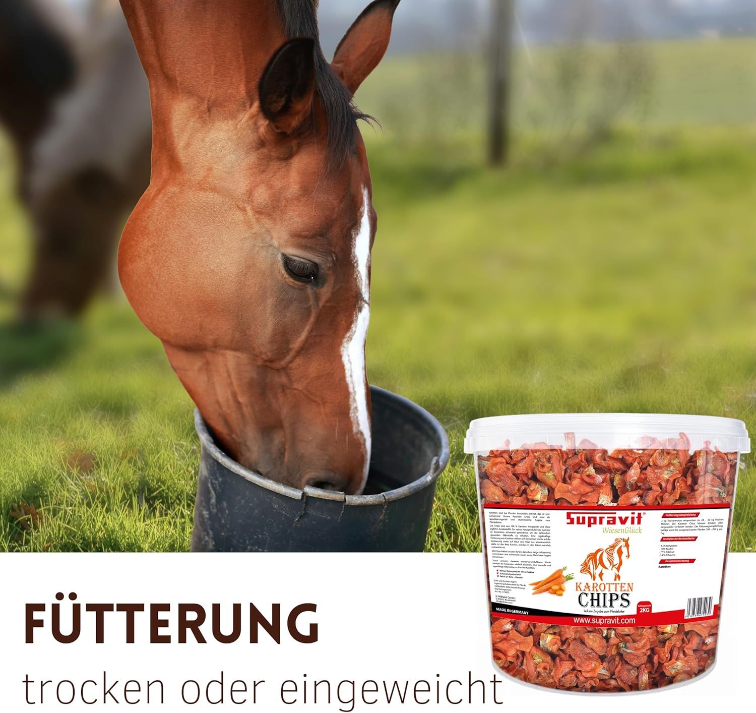 Pferd trinkt aus einem Eimer. Daneben ein Eimer mit Karottenchips. Text: Fütterung, trocken oder eingeweicht.