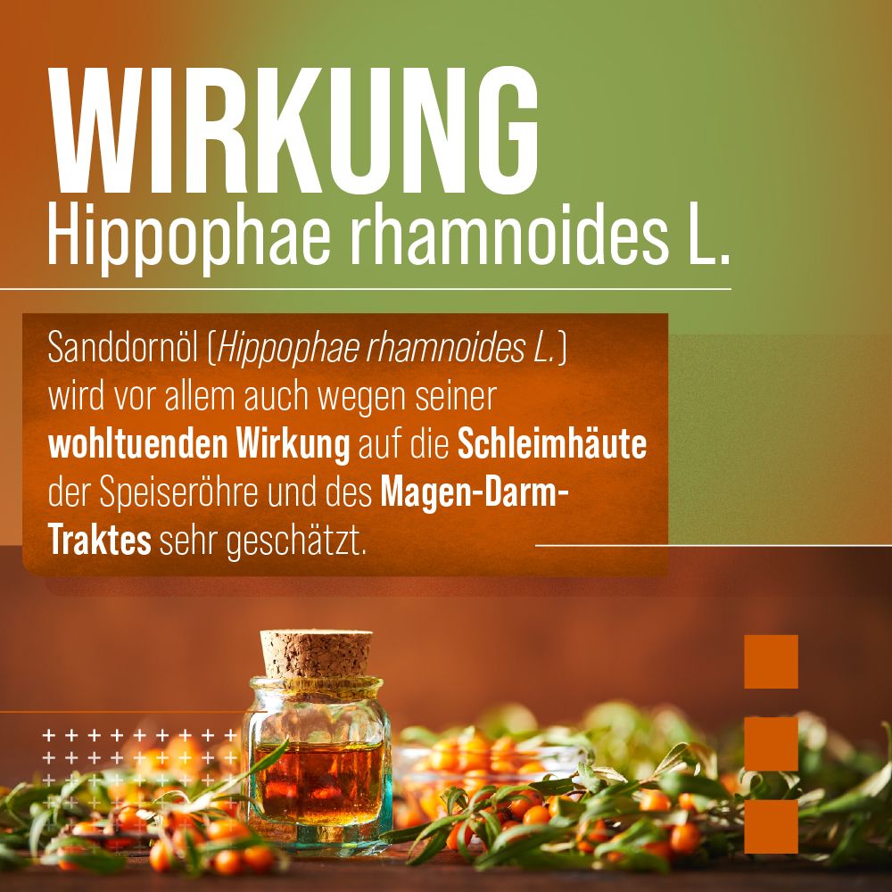 Grafik mit Text: Wirkung von Sanddornöl. Abbildung von Sanddornöl in einem Glas.