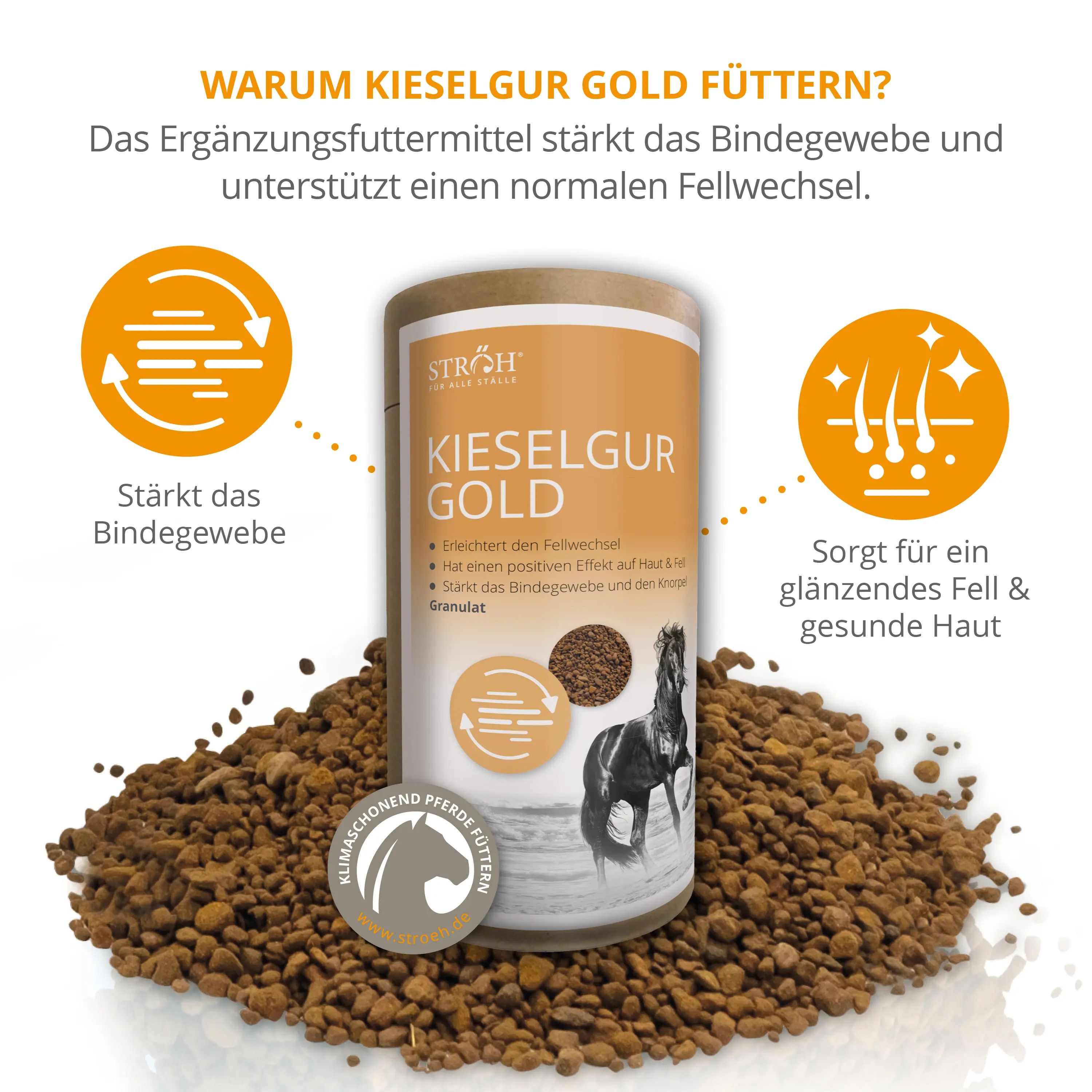Zylindrische Dose Kieselgur Gold mit Text und Abbildung eines Pferdes. Braunes Granulat. Text: Stärkt das Bindegewebe.