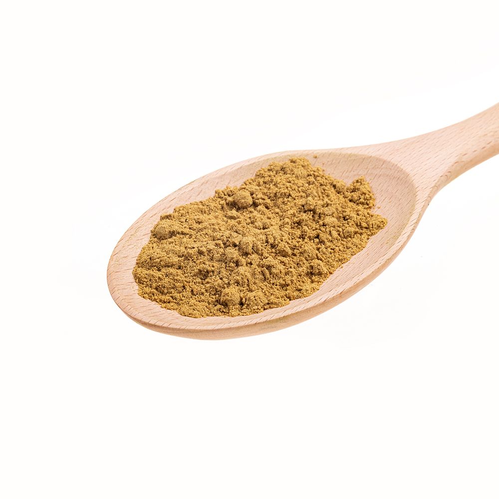 AniCanis Bio Kürbiskernprotein für Hunde & Katzen