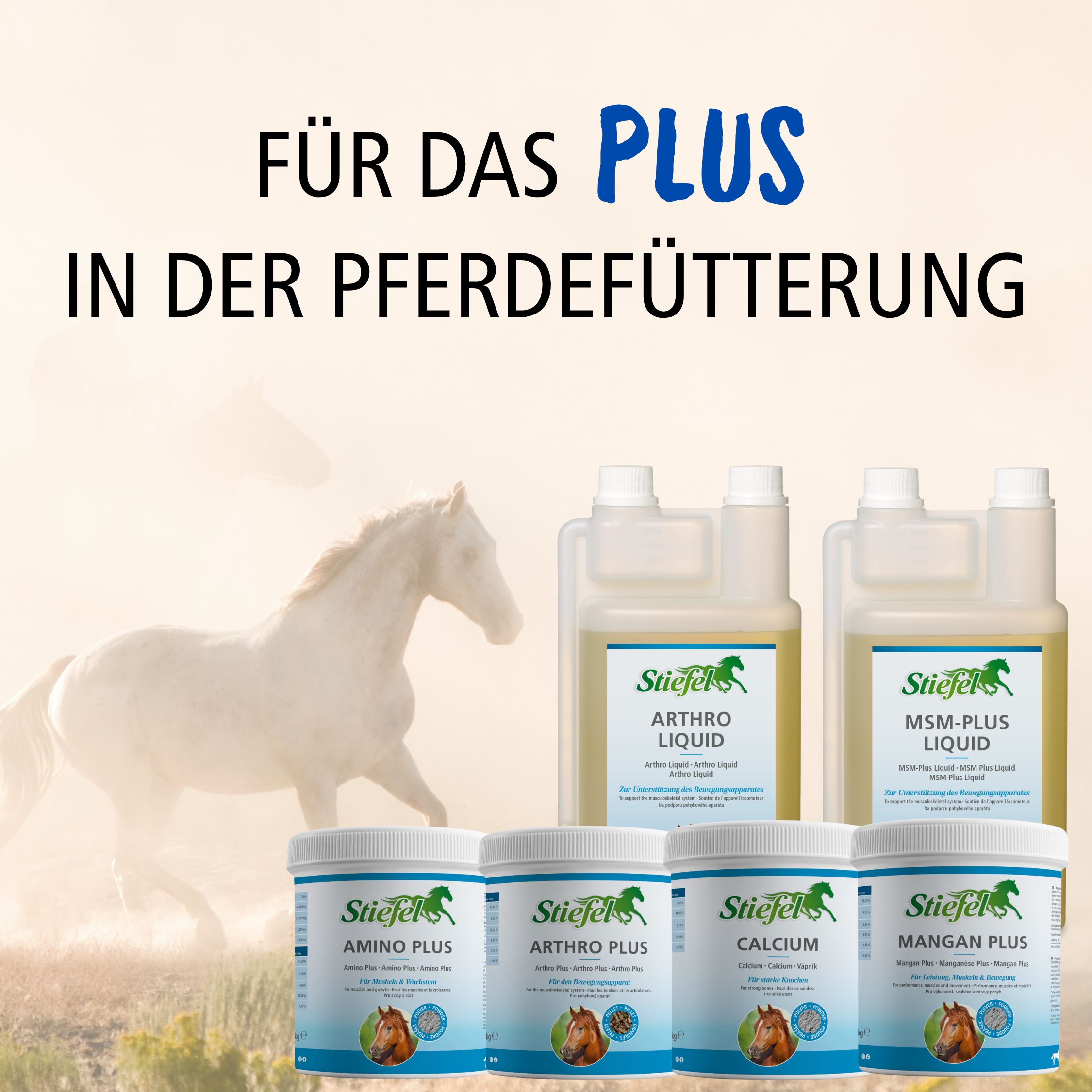 Mehrere Stiefel-Produkte: Arthro Liquid, MSM-Plus Liquid, Amino Plus, Calcium und Mangan Plus. Produkte für Pferde.