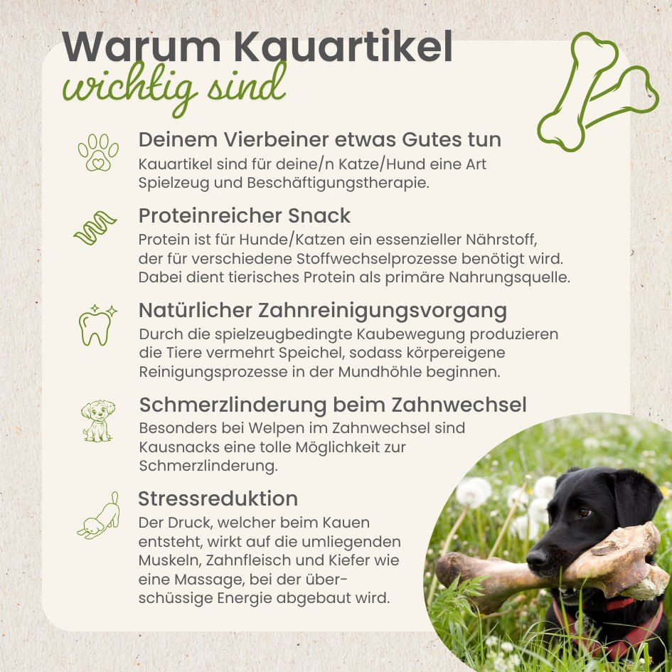 Hundekauartikel aus Entenfleisch, proteinreich.