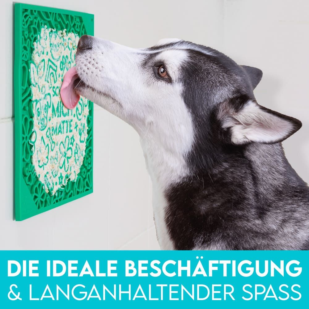 HUND IST KÖNIG® Leckmatte Hund mit Saugnäpfen | 22x22 cm inkl. Spatel + Rezepte-Ebook