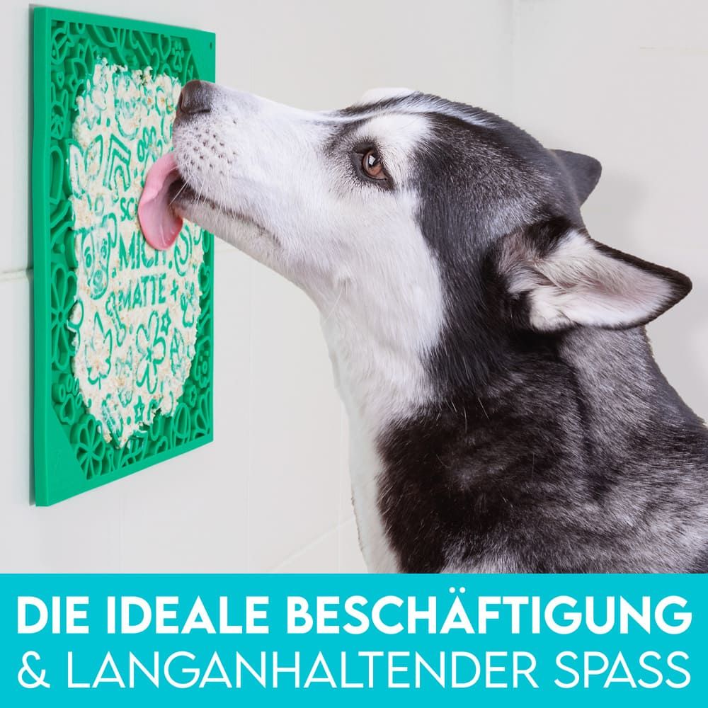 Hund IST König® Leckmatte mit Saugnäpfen | 22x22 cm inkl. Spatel + Rezepte-Ebook 2 St