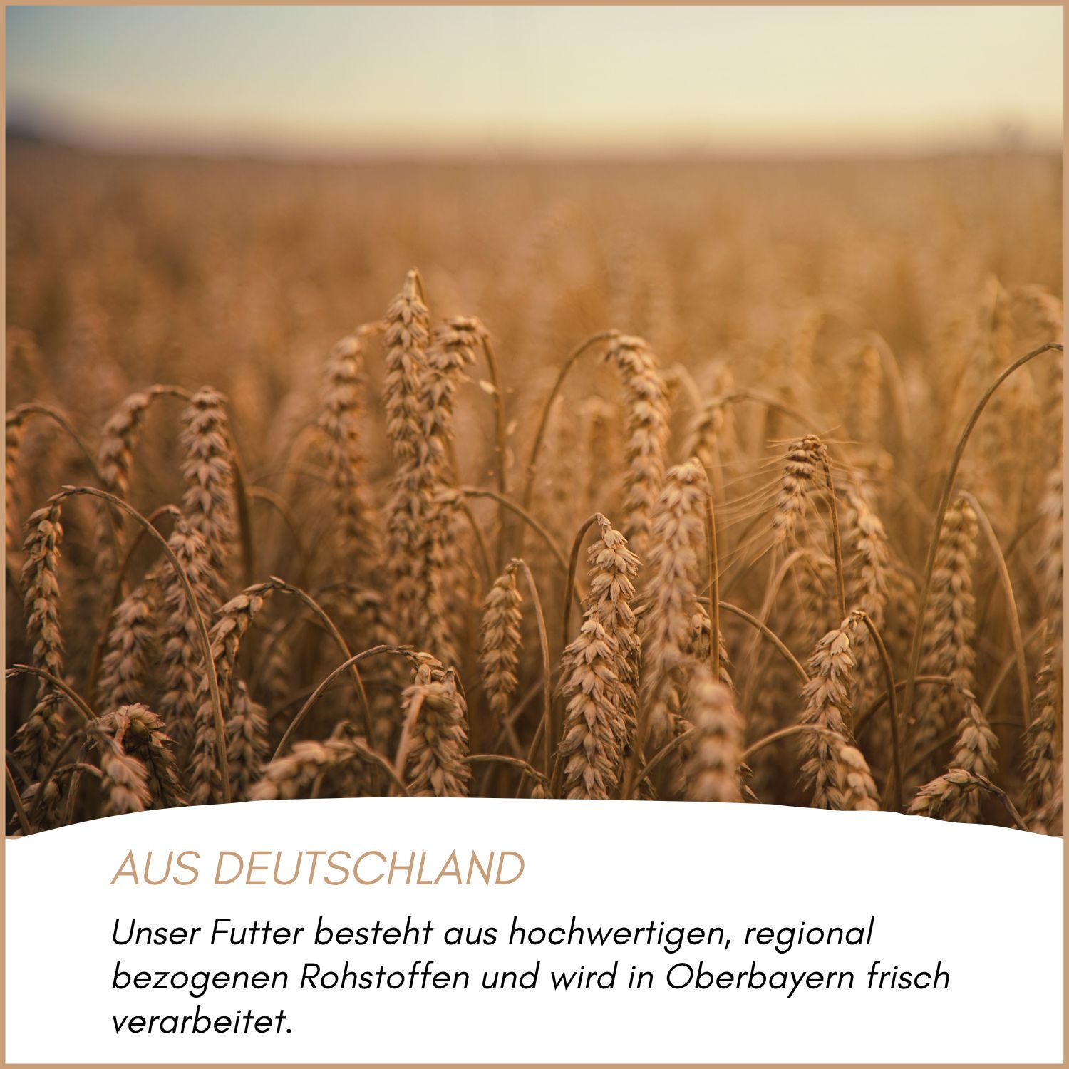 Ährenfeld. Text: Aus Deutschland. Unser Futter besteht aus hochwertigen, regional bezogenen Rohstoffen und wird in Oberbayern frisch verarbeitet.