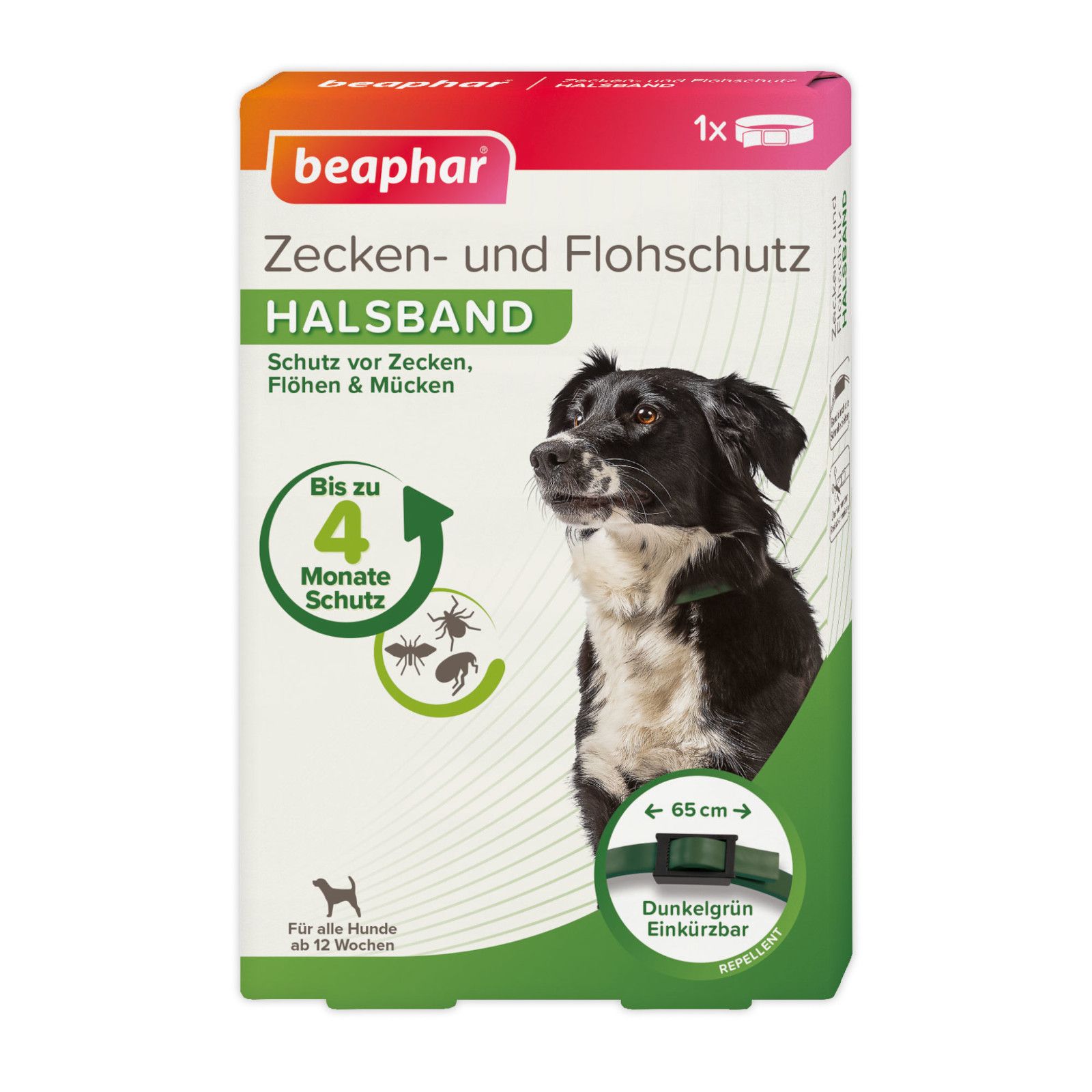 Verpackung. Beaphar Zecken- und Flohschutz Halsband. Text: 4 Monate Schutz. Für alle Hunde ab 12 Wochen. Dunkelgrün, einkürzbar.