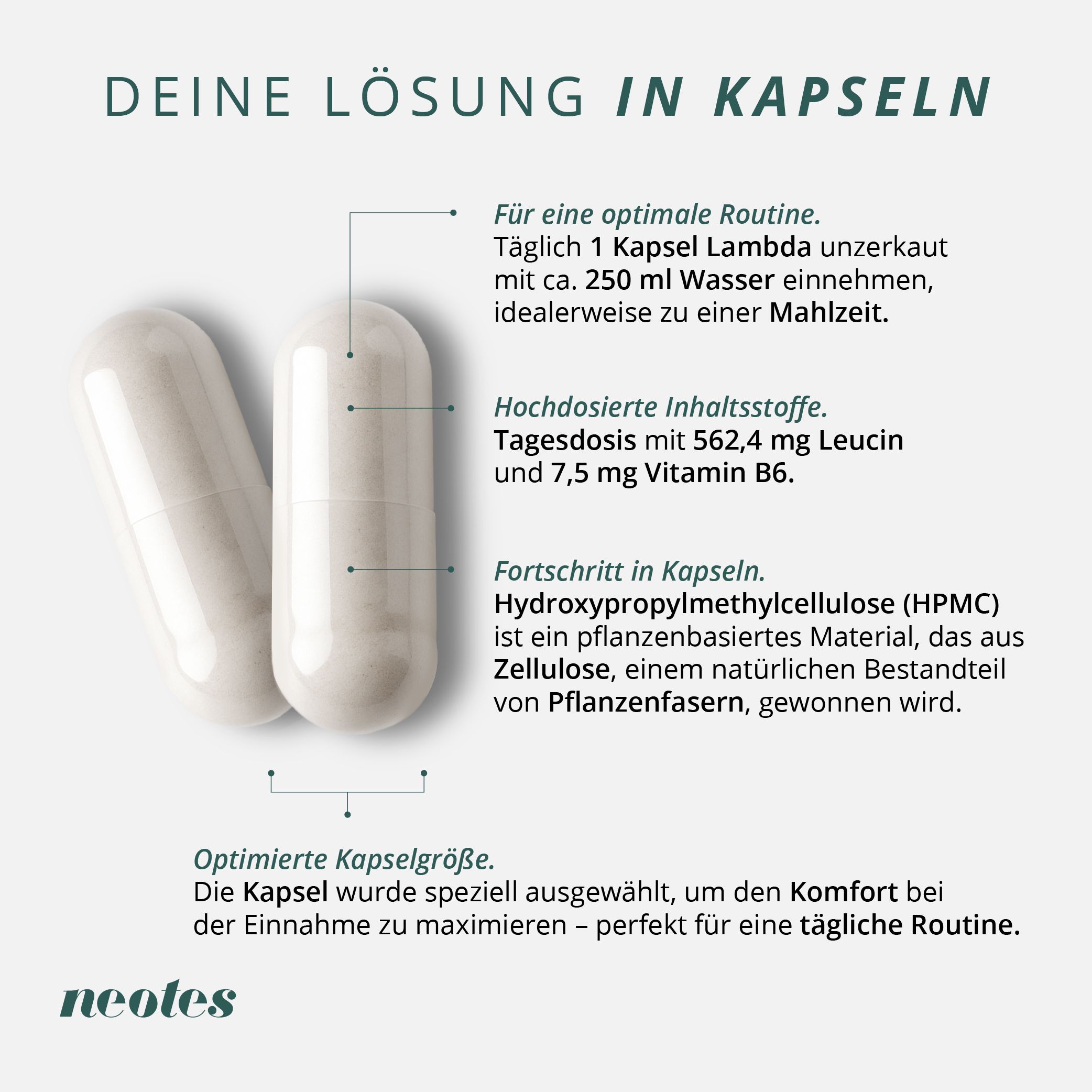 Zwei weiße Kapseln. Text: "Deine Lösung in Kapseln". Informationen zu Inhaltsstoffen und Dosierung. "neotes"-Logo.