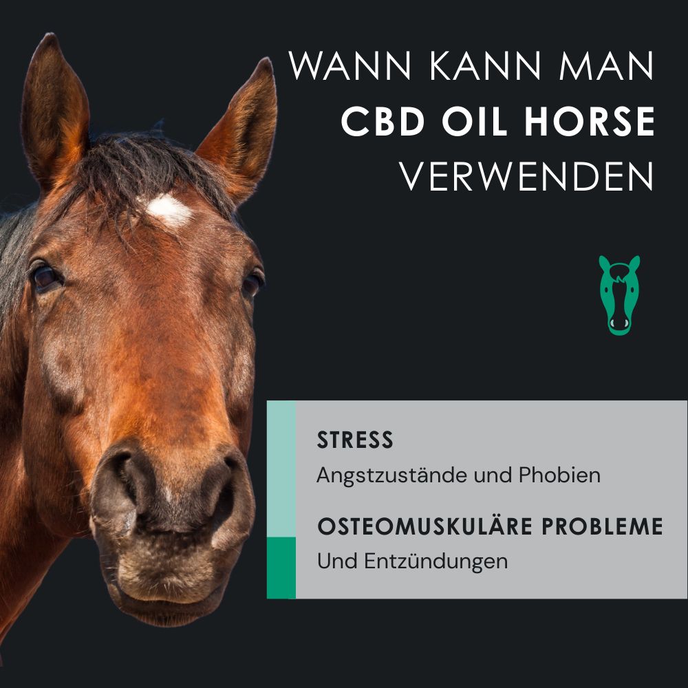 Pferdekopf mit Text. CBD Oil Horse. Stress, Angstzustände, osteomuskuläre Probleme.