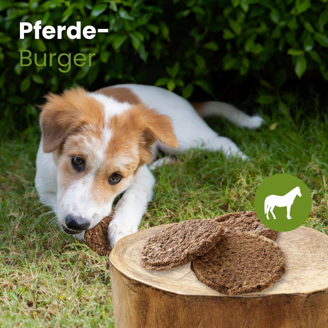 Drei runde Pferde-Burger Hundeleckerlis, 100% Pferd, hypoallergen, ohne Zusätze.