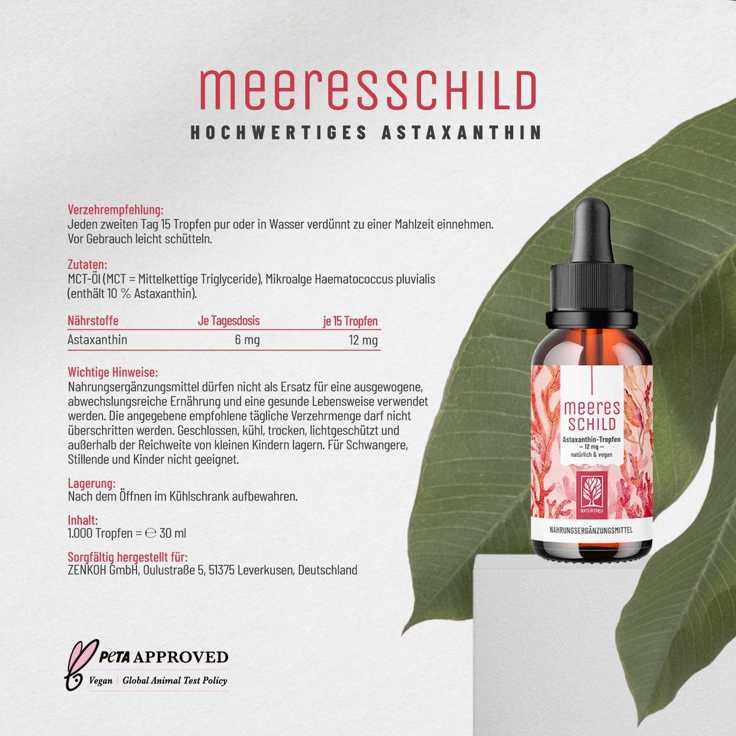 Infografik mit Text und Flasche. Text: Verzehrempfehlung, Zutaten, wichtige Hinweise.
