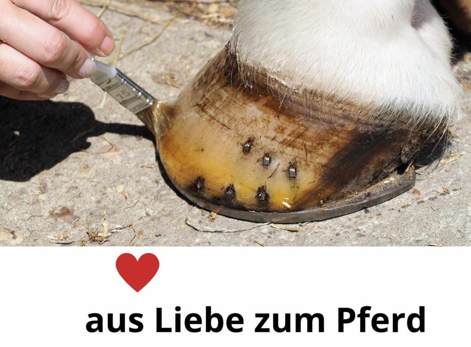 Keralit Huffestiger Hufhärter