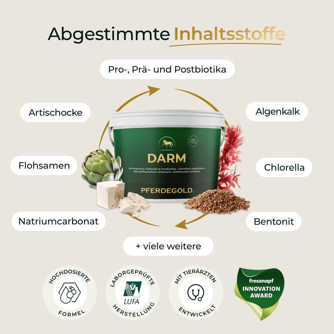 Eimer Pferdegold Darm umgeben von Zutaten wie Artischocke, Flohsamen, Hefe, Bentonit, Algenkalk. Siegel: LUFA, Tierärzte, Innovation Award.