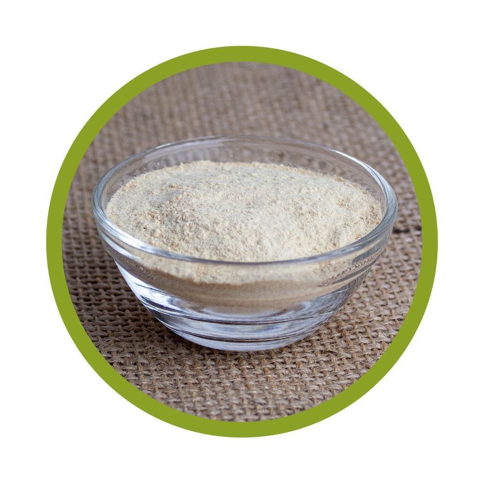 Runde, transparente Glasschale mit hellem Pulver. Grüner Kreis als Hintergrund.