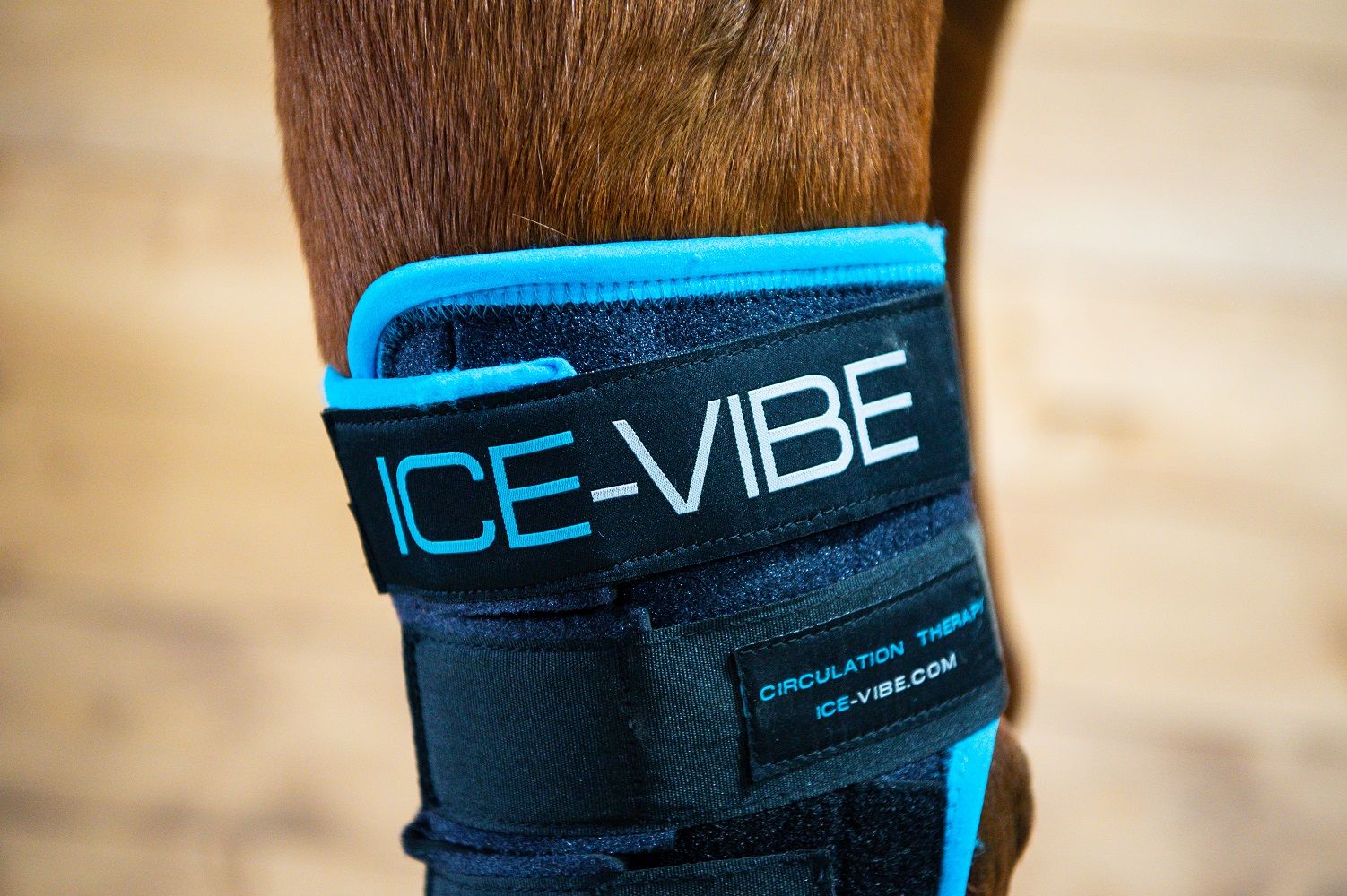 Nahaufnahme der schwarzen Bandage mit blauem Rand. Aufschrift ICE-VIBE. Text: CIRCULATION THERAPY. Klettverschlüsse.