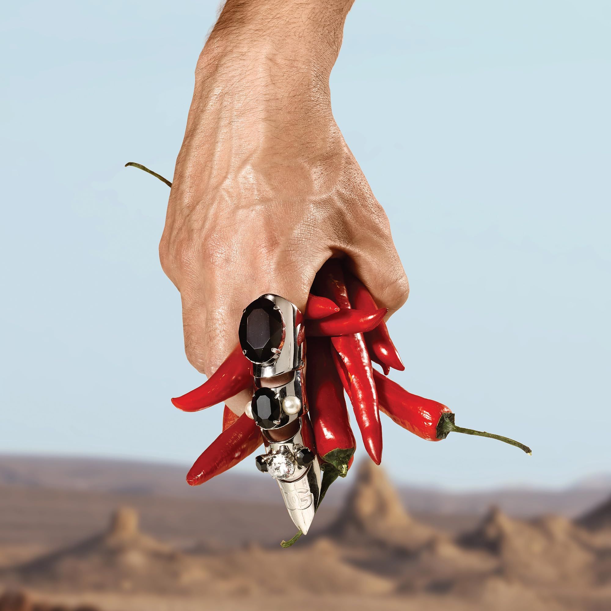Hand hält rote Chilischoten und ein silbernes Objekt mit schwarzen Steinen. Hintergrund: Wüstenlandschaft.