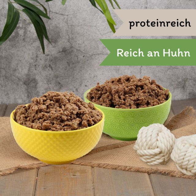 Zwei Schalen Hundefutter. Beschriftung: proteinreich, Reich an Huhn. Dekoration: Spielzeug.