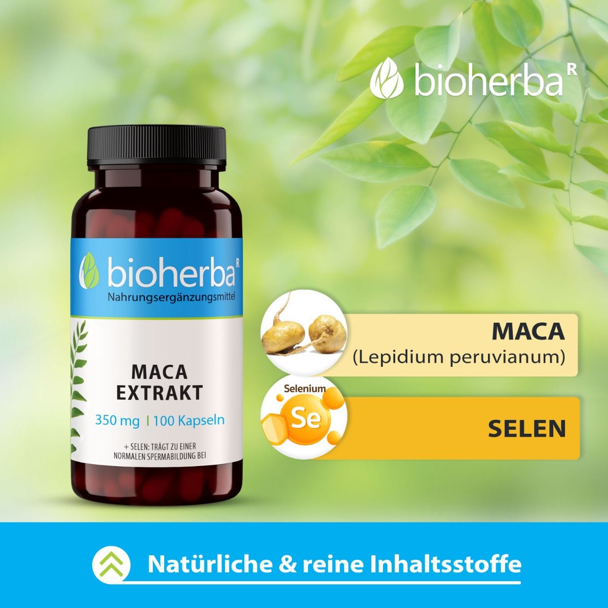 Maca Extrakt 350 mg 100 Kapseln PZN 19554965