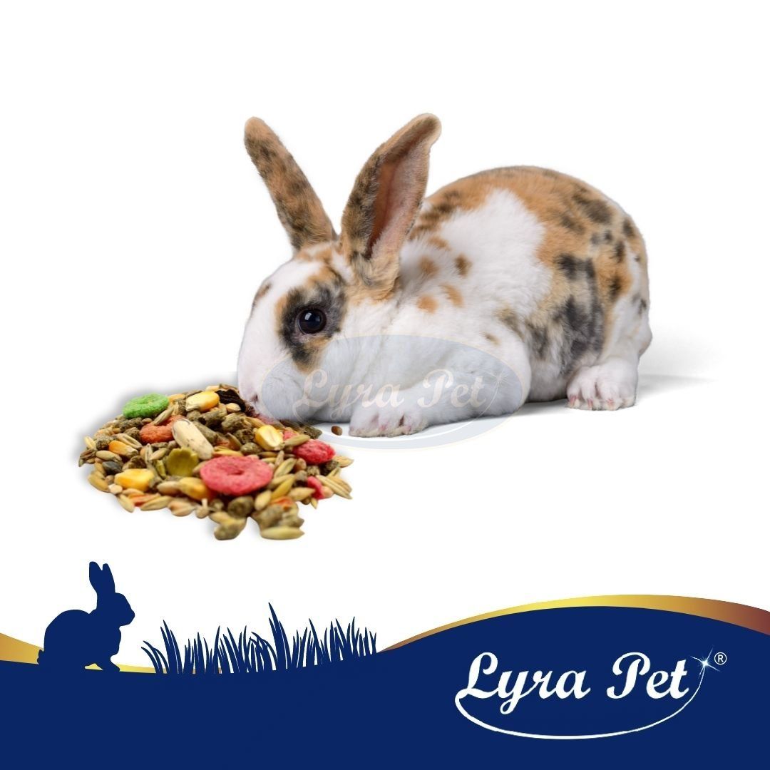 Lyra Pet® Kaninchenfutter 25 kg Futter