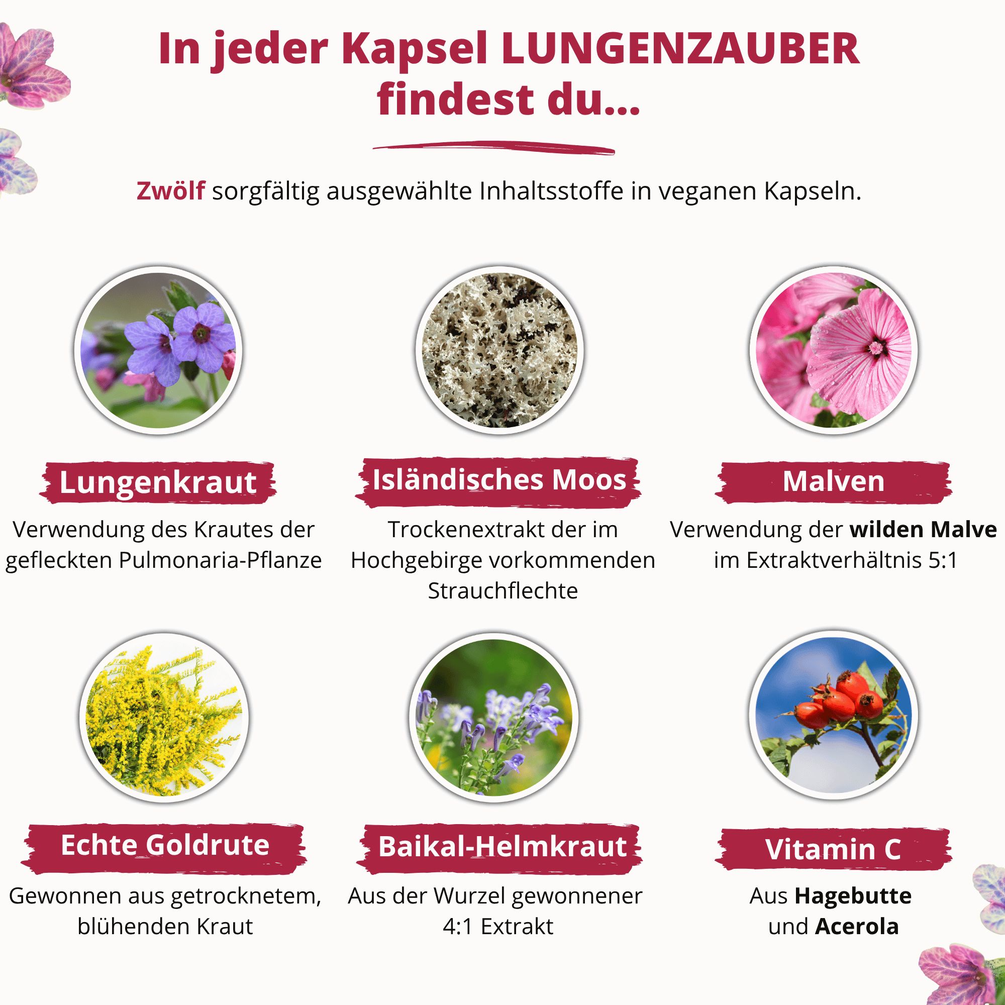 Inhaltsstoffe von Lungenzauber: Lungenkraut, Isländisches Moos, Malven, echte Goldrute, Baikal-Helmkraut, Vitamin C.