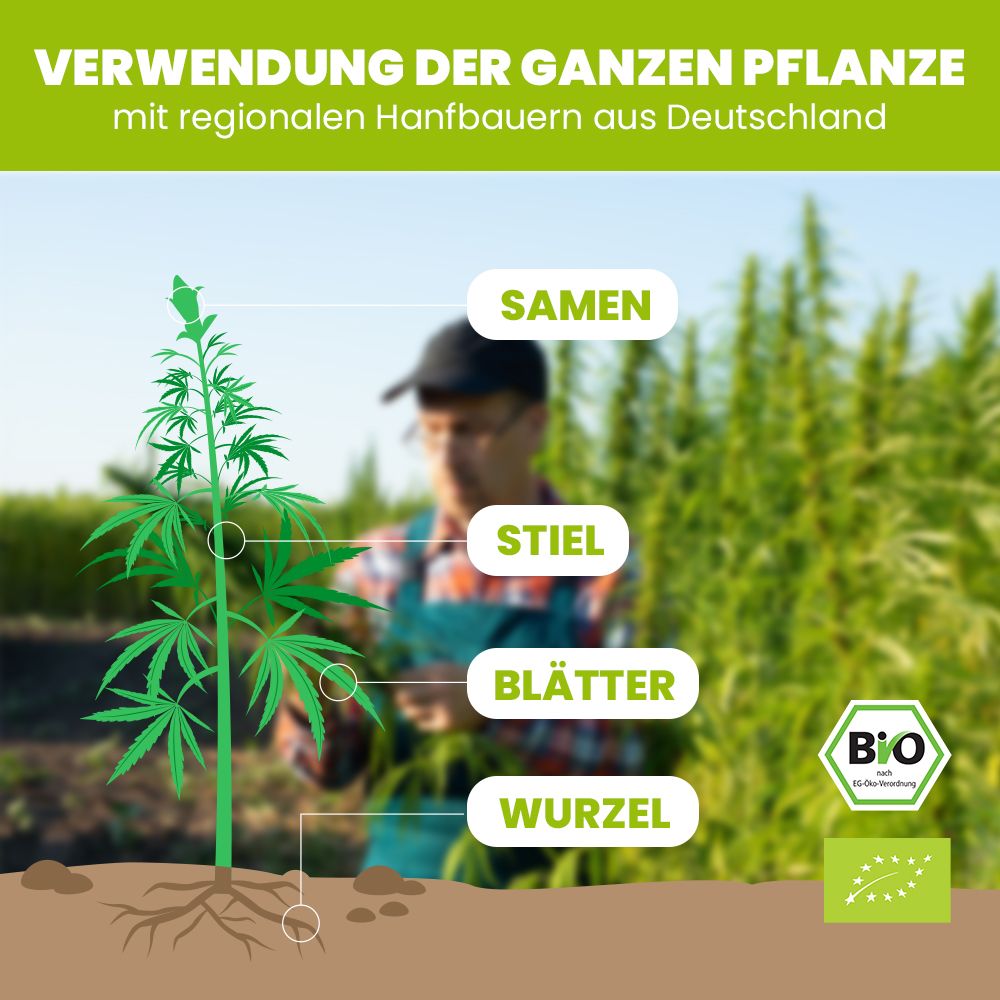 SANUUS® Bio Hanfsamen 4x250g geschält mit 30% Protein regional aus Bayern