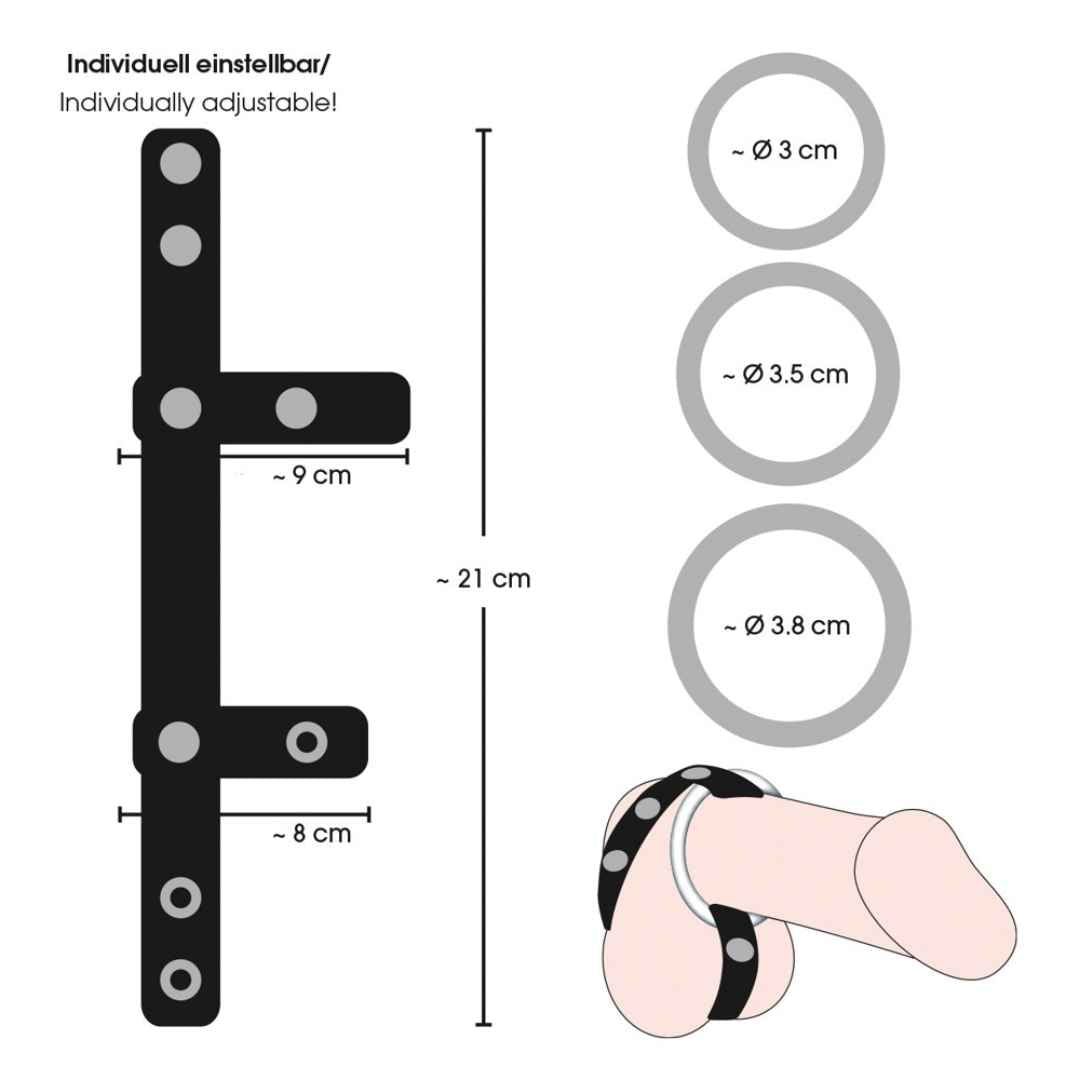 Hodenriemen plus 3 Penisringe | 4-teiliges Set: Verstellbar, Optik mit Nieten | Bad Kitty