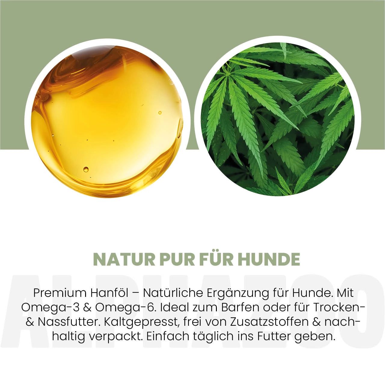 Zwei Kreise: Hanföl und Hanfblatt. Text: Natur pur für Hunde. Premium Hanföl. Mit Omega-3 & Omega-6. Kaltgepresst.